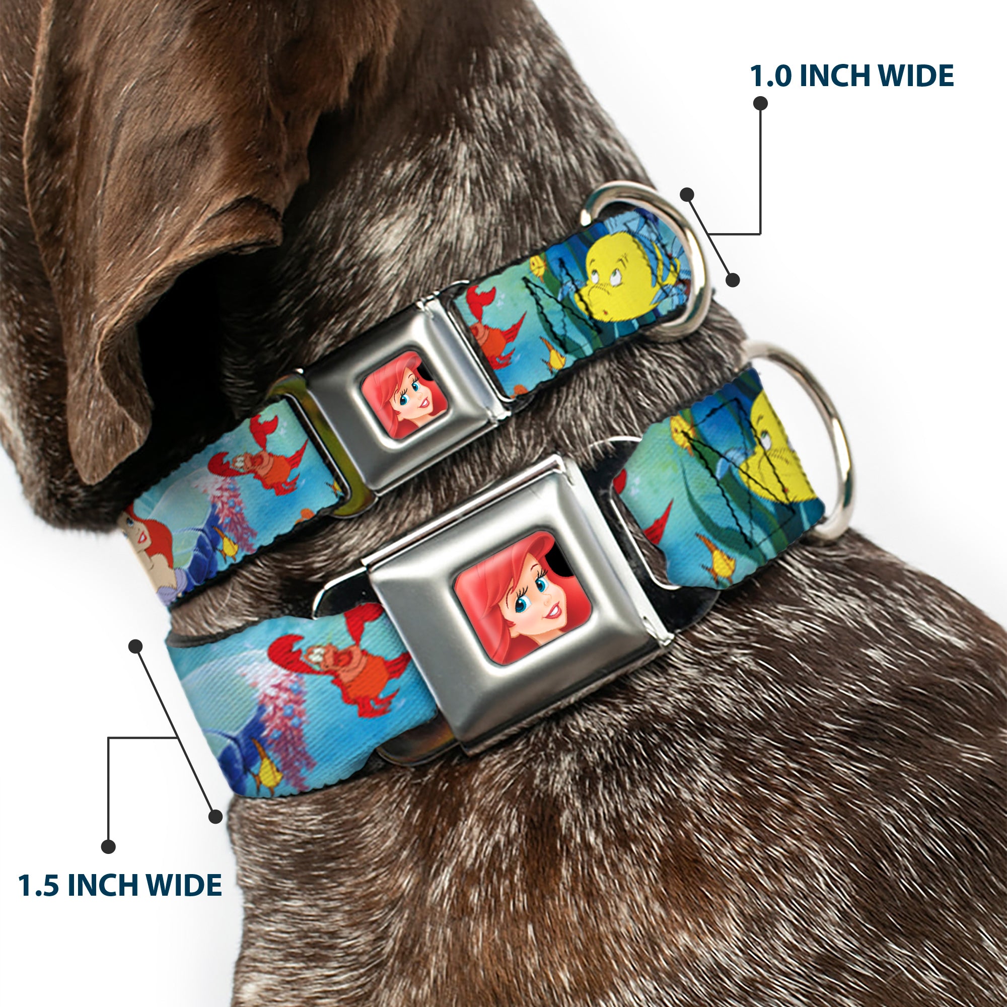Ariel CLOSE-UP Full Color Seatbelt Buckle Collar - Ariel, Sebastian & Flounder Scene Seatbelt Buckle Collars Disney