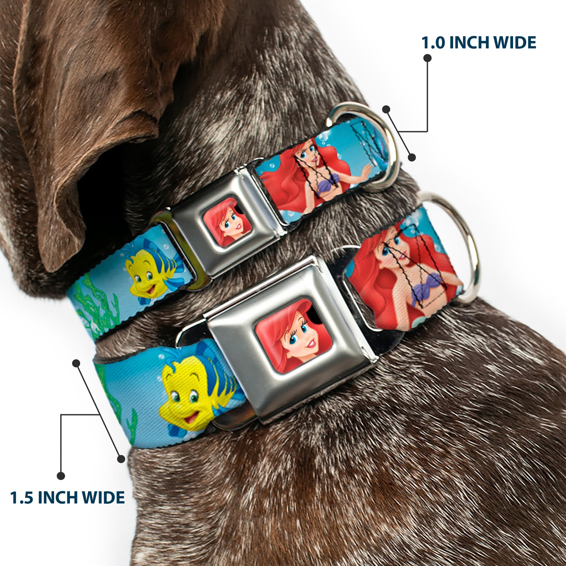 Ariel CLOSE-UP Full Color Seatbelt Buckle Collar - Ariel, Sebastian & Flounder Scene2 Seatbelt Buckle Collars Disney