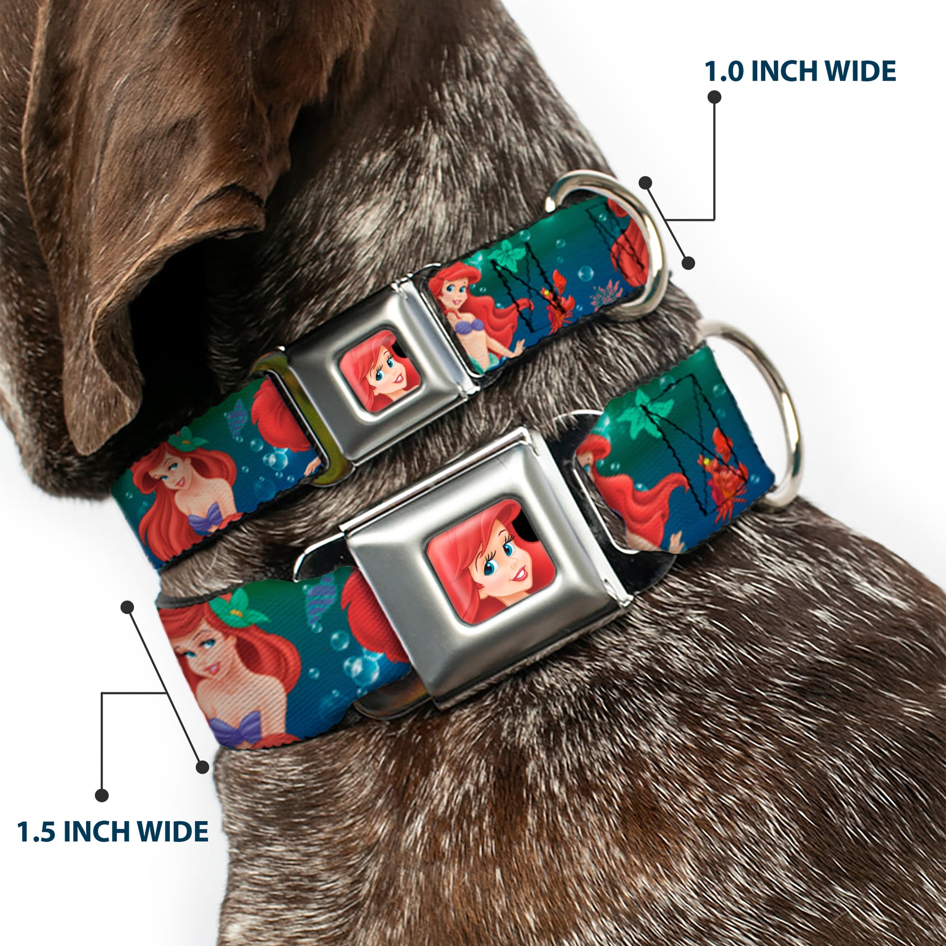 Ariel CLOSE-UP Full Color Seatbelt Buckle Collar - Ariel Poses w/Flounder Green/Blue Fade Seatbelt Buckle Collars Disney