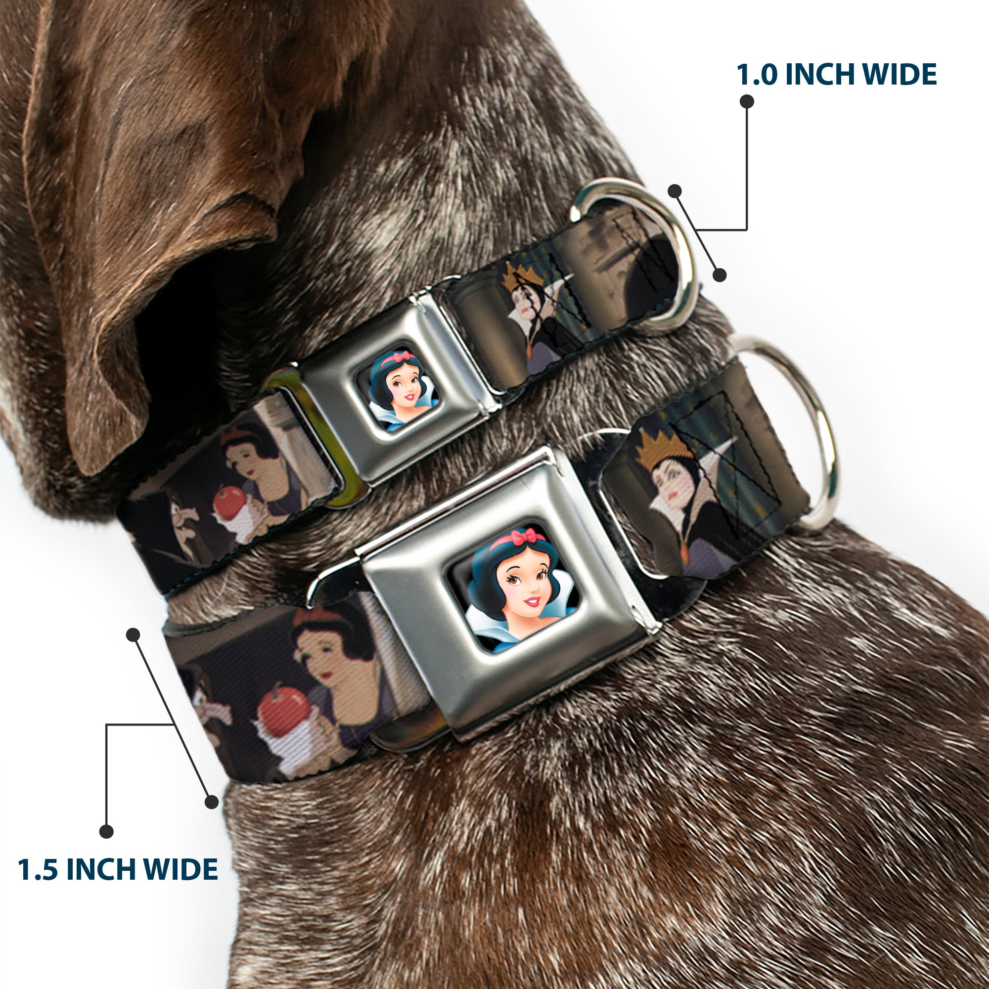 Snow White Full Color Black Seatbelt Buckle Collar - Snow White Scenes Seatbelt Buckle Collars Disney