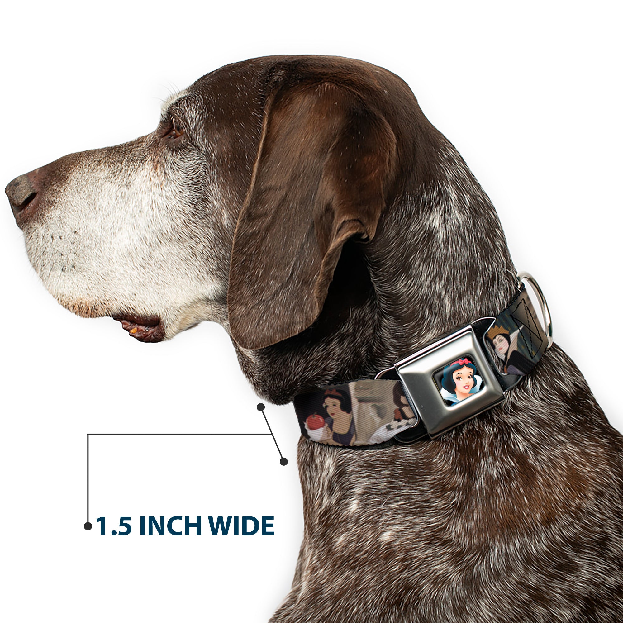 Snow White Full Color Black Seatbelt Buckle Collar - Snow White Scenes Seatbelt Buckle Collars Disney