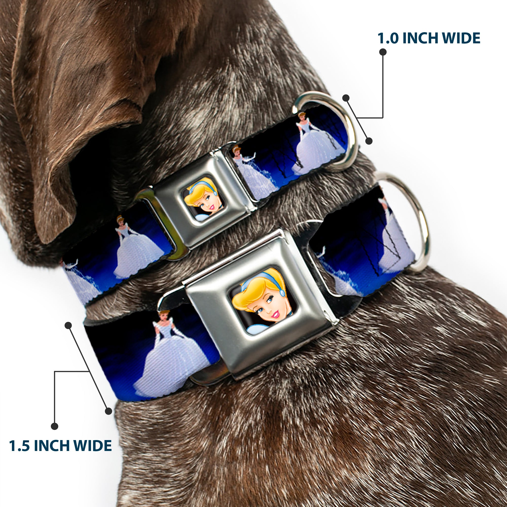 Cinderella CLOSE-UP Full Color Seatbelt Buckle Collar - Cinderella Transformation Blue Fade Seatbelt Buckle Collars Disney