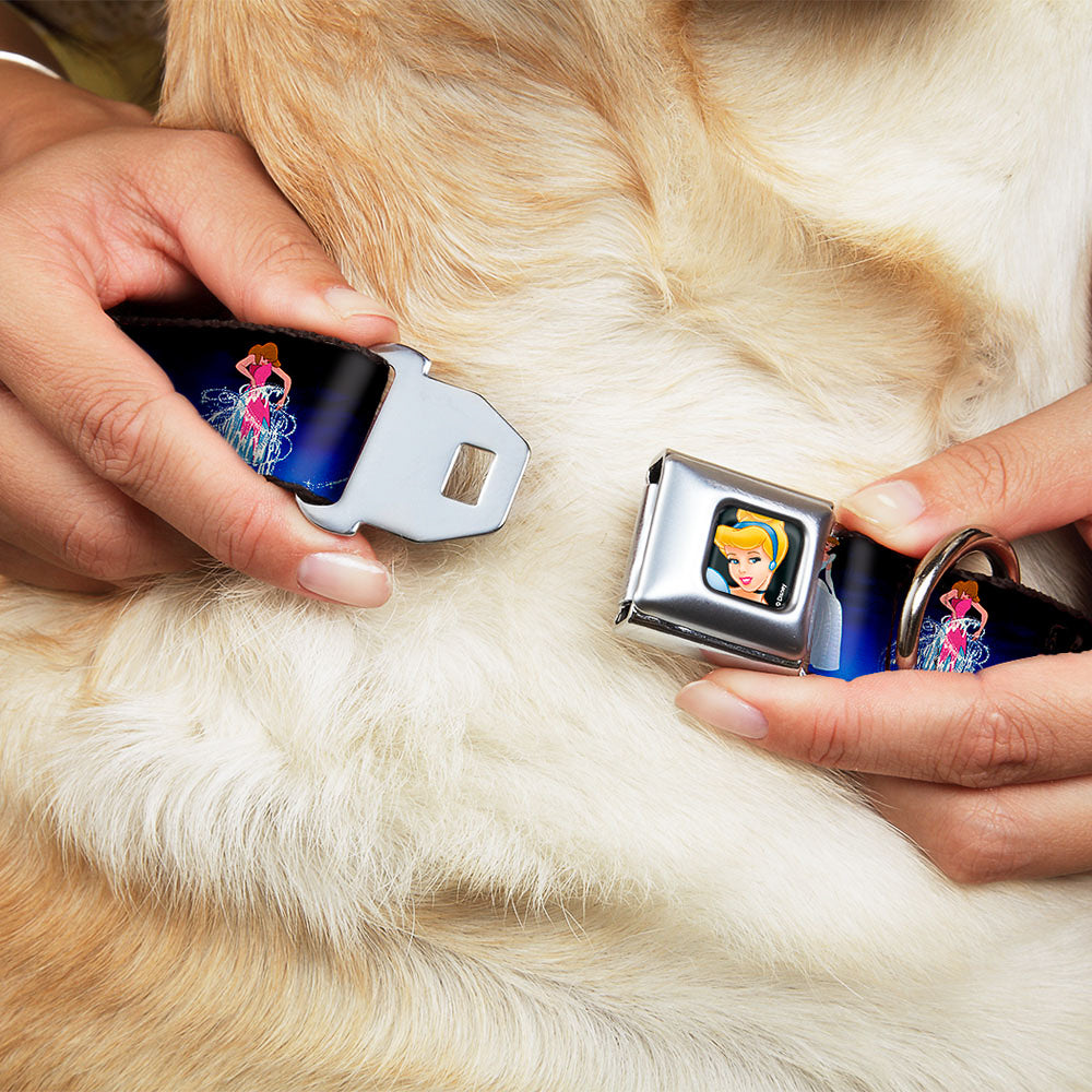 Cinderella CLOSE-UP Full Color Seatbelt Buckle Collar - Cinderella Transformation Blue Fade Seatbelt Buckle Collars Disney