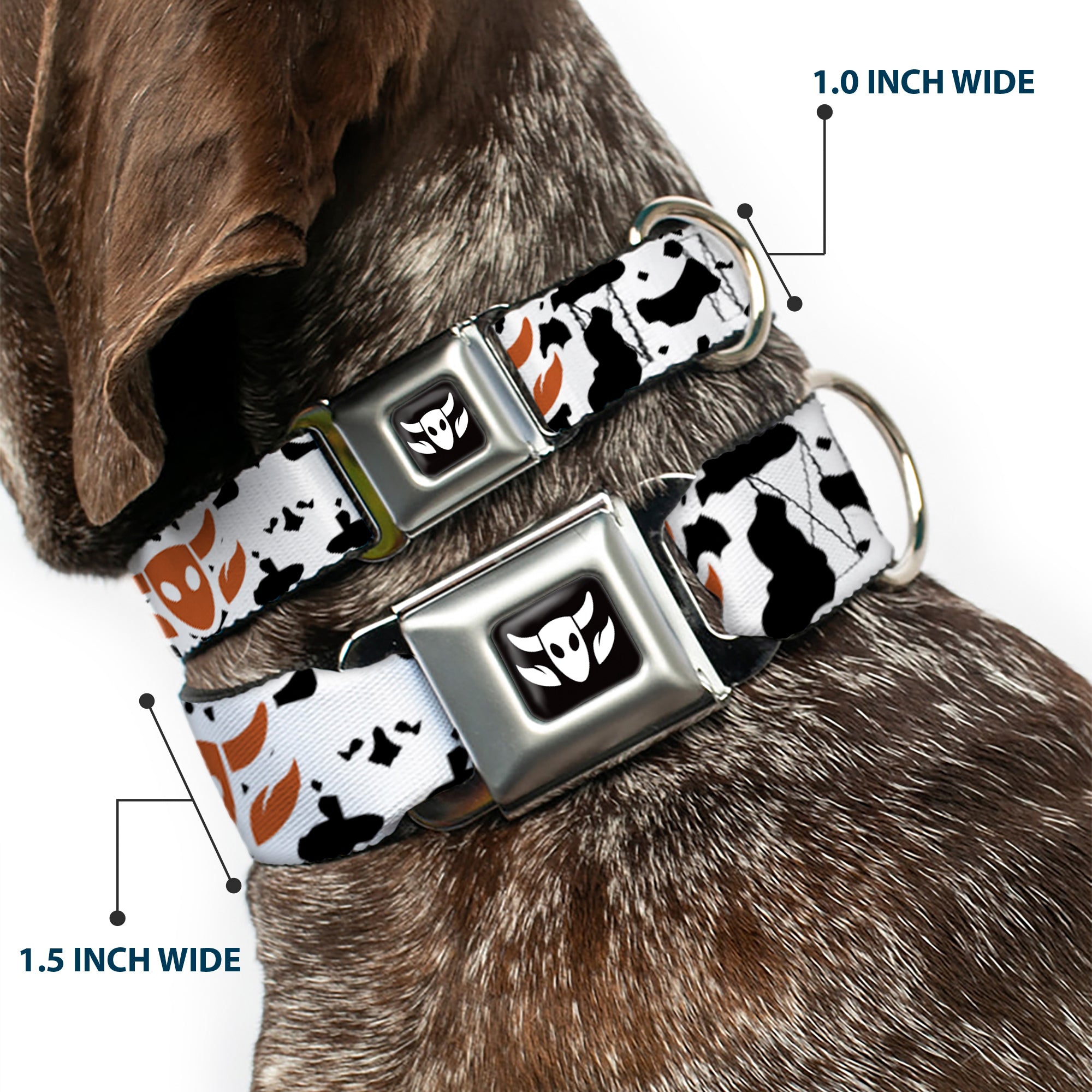 Toy Story Woody Cowboy Bull Icon Full Color Black/White Seatbelt Buckle Collar - Toy Story Woody Bounding Cowboy Cow Print White/Black/Brown Seatbelt Buckle Collars Disney