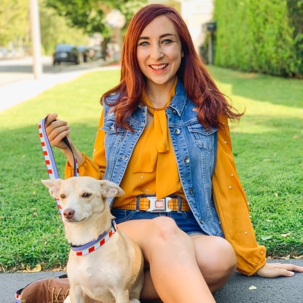 Toy Story Woody Cowboy Buckle Logo Full Color Golds Seatbelt Buckle Collar - Toy Story Woody Bounding Plaid Shirt Gold/Red Seatbelt Buckle Collars Disney
