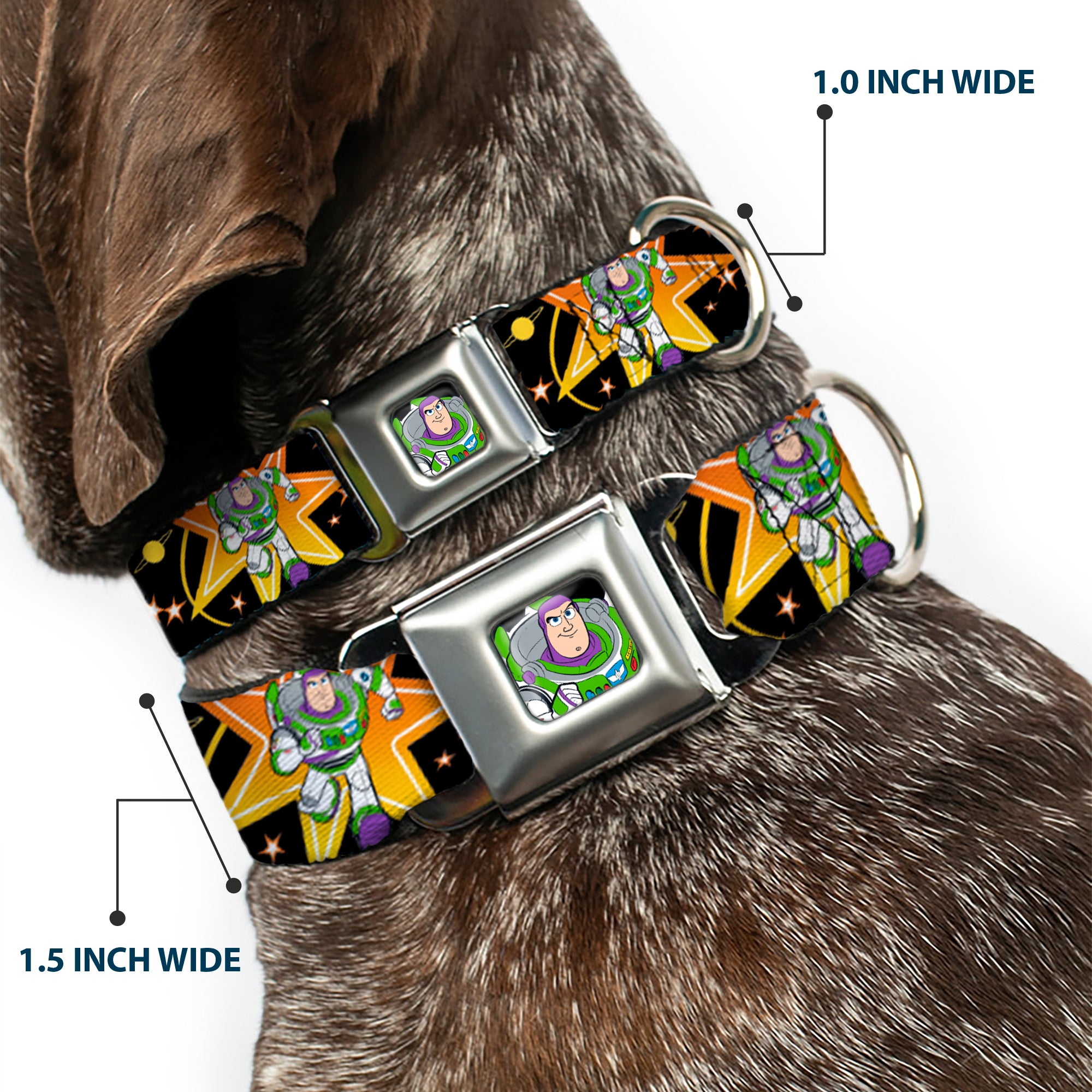 Toy Story Buzz Lightyear Running Pose Full Color Black Seatbelt Buckle Collar - Toy Story BUZZ LIGHTYEAR Running Pose/Stars Black/Orange/Yellow Seatbelt Buckle Collars Disney
