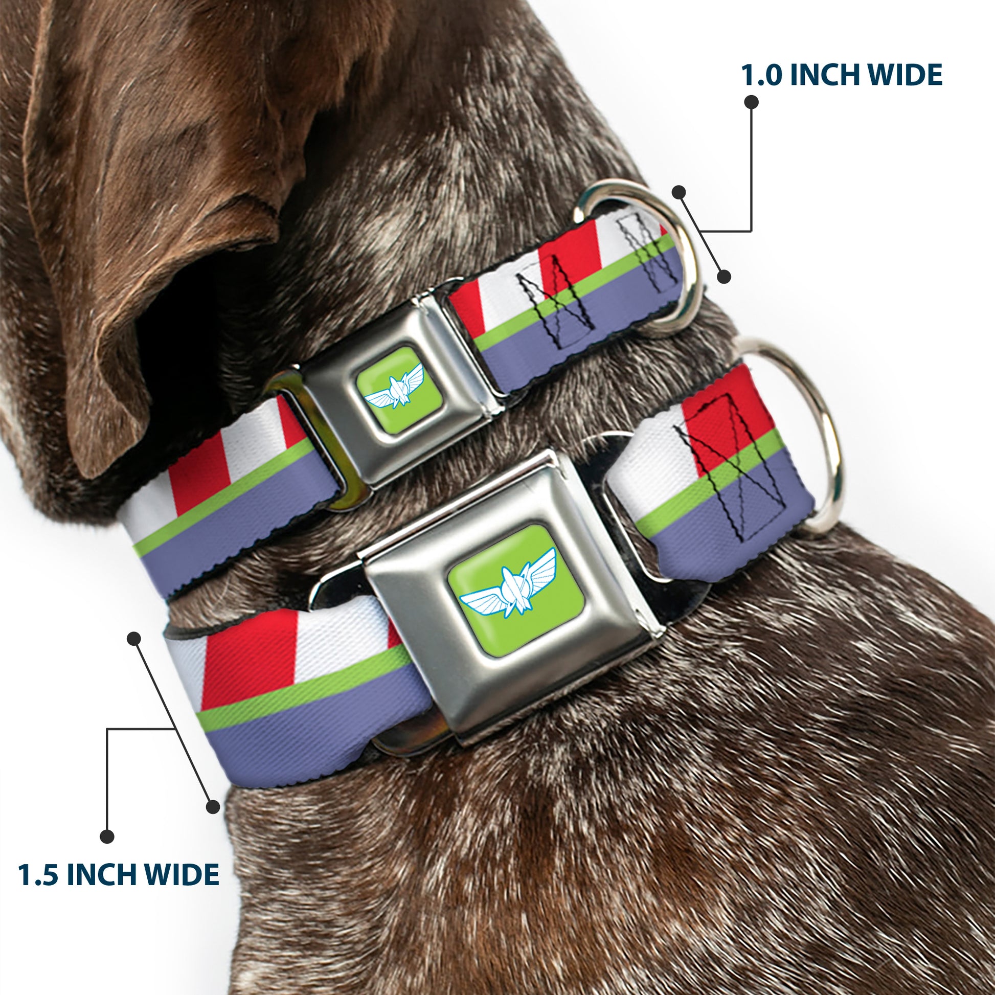 Toy Story Buzz Lightyear Space Ranger Wings Icon Full Color Green/Blue/White Seatbelt Buckle Collar - Toy Story Buzz Lightyear Space Ranger Logo/Striping Red/White/Green/Purple Seatbelt Buckle Collars Disney