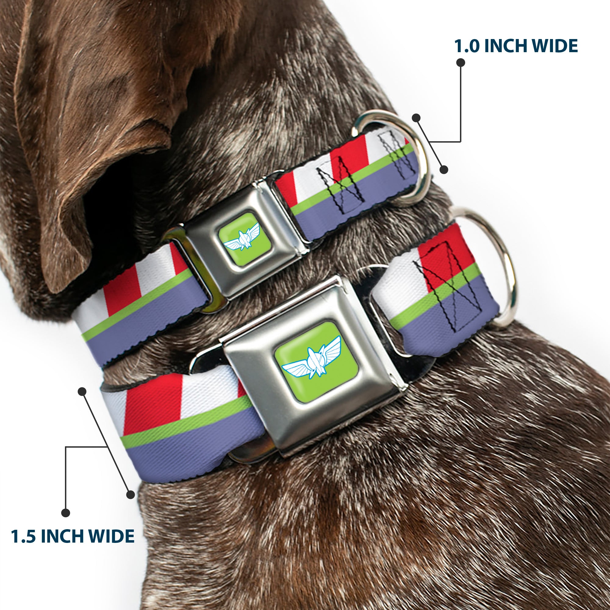Toy Story Buzz Lightyear Space Ranger Wings Icon Full Color Green/Blue/White Seatbelt Buckle Collar - Toy Story Buzz Lightyear Space Ranger Logo/Striping Red/White/Green/Purple Seatbelt Buckle Collars Disney