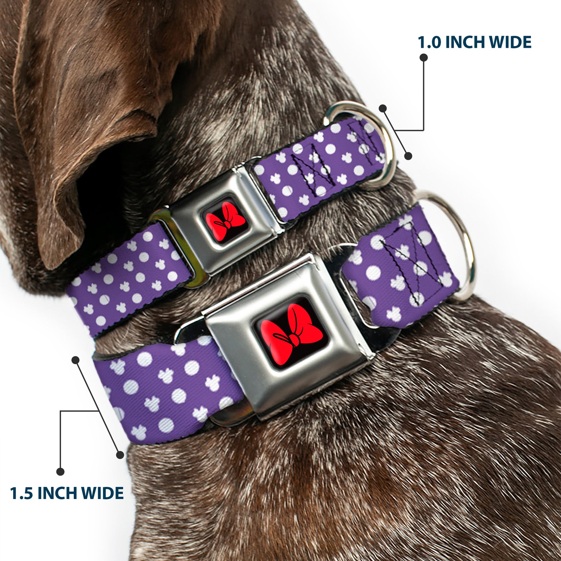 Dog Collar DYYR-Minnie Mouse Bow Full Color Black/Red - Minnie Mouse Ears Monogram/Dots Purple/White Seatbelt Buckle Collars Disney