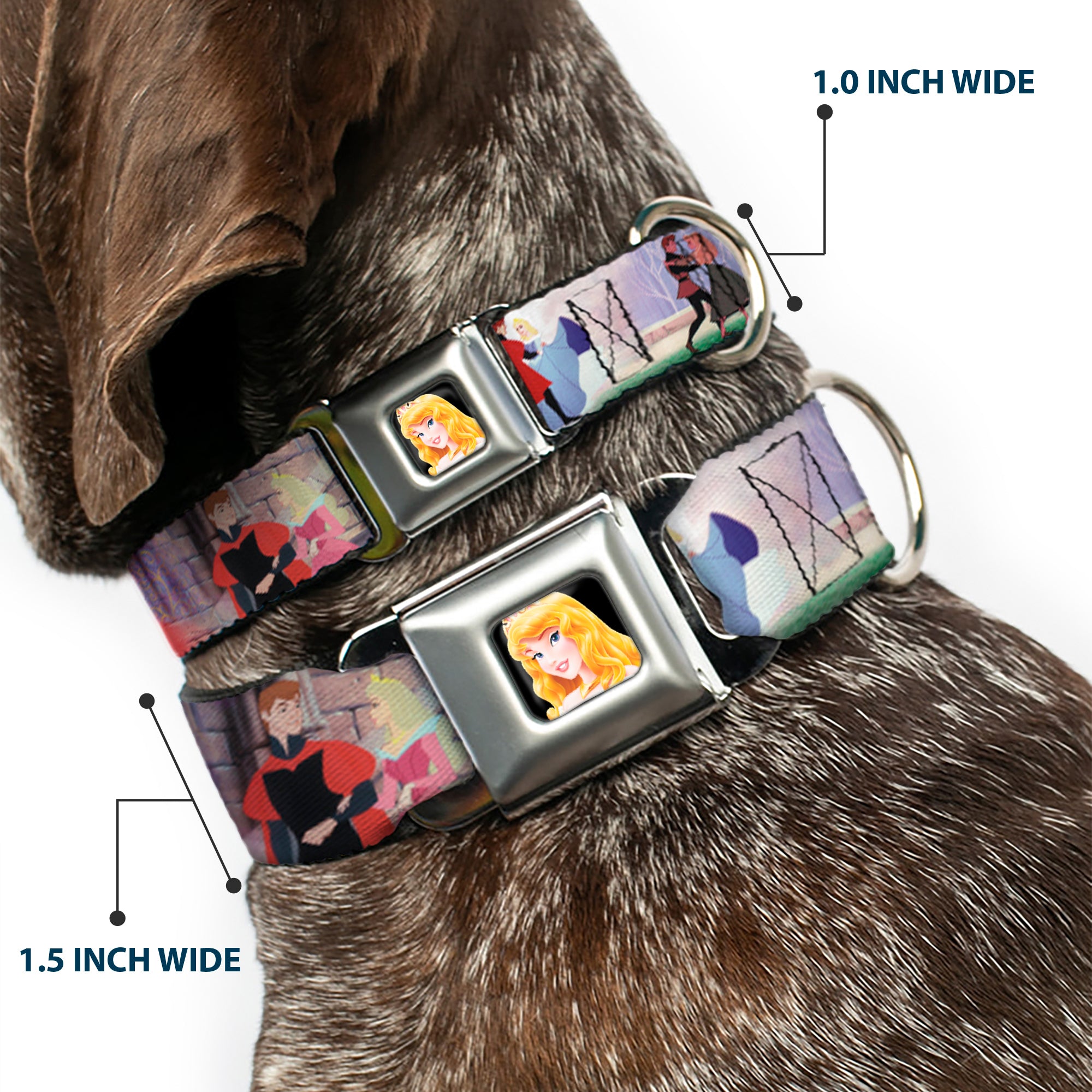Sleeping Beauty Princess Aurora Full Color Seatbelt Buckle Collar - Sleeping Beauty & Prince Scenes Seatbelt Buckle Collars Disney