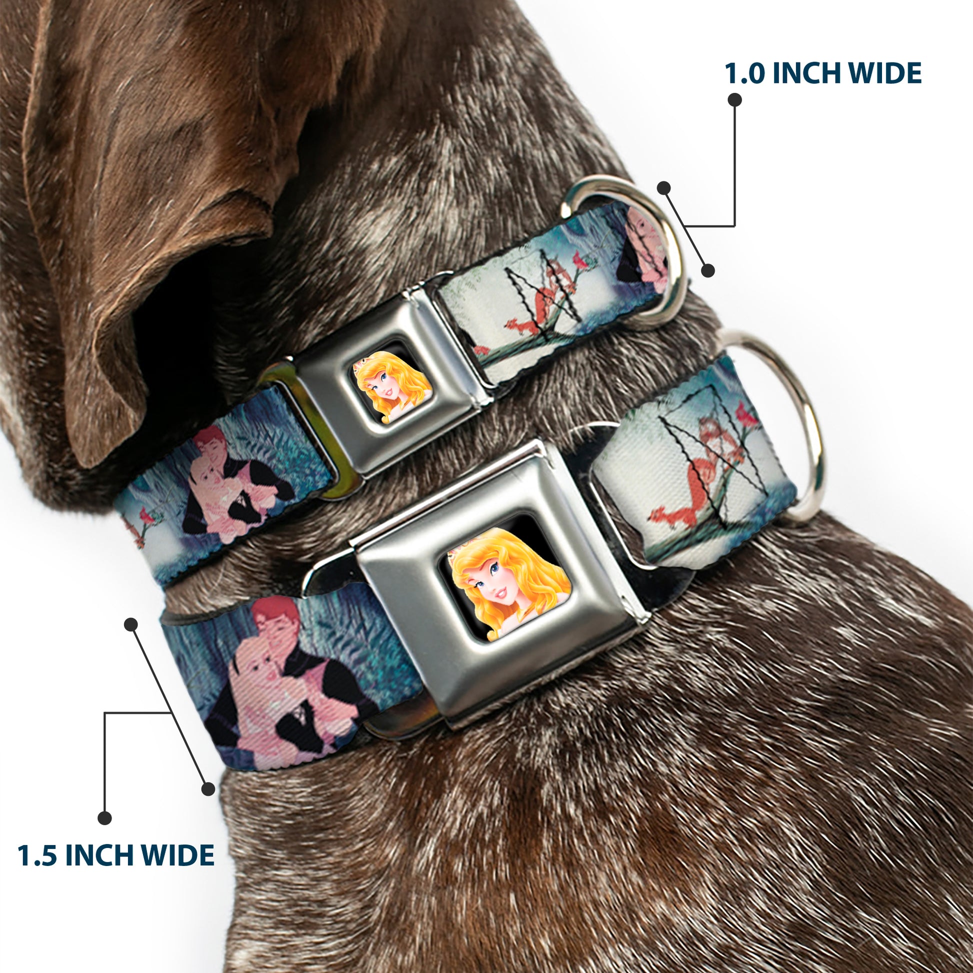 Sleeping Beauty Full Color Seatbelt Buckle Collar - Sleeping Beauty Woods Scenes Seatbelt Buckle Collars Disney