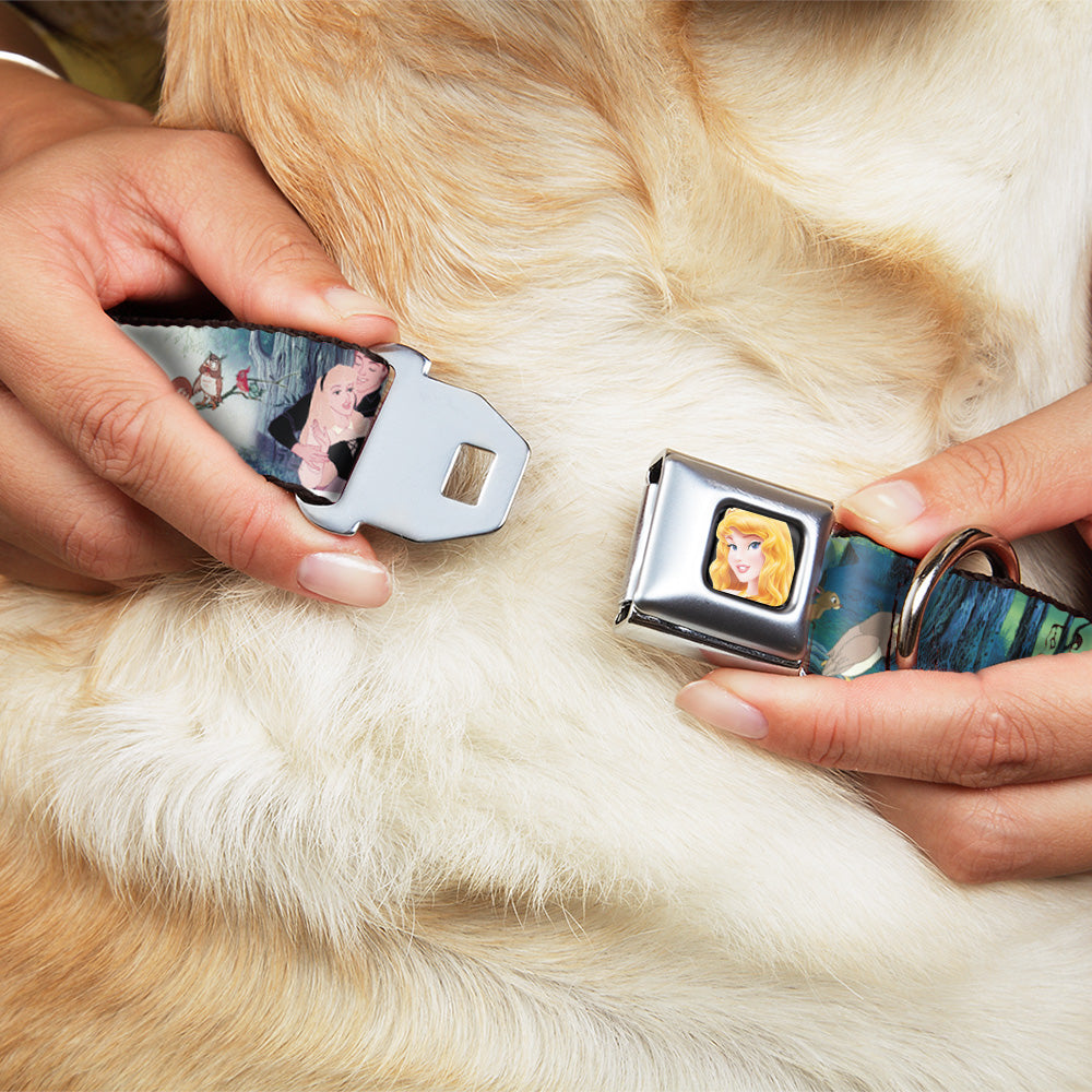 Sleeping Beauty Full Color Seatbelt Buckle Collar - Sleeping Beauty Woods Scenes Seatbelt Buckle Collars Disney