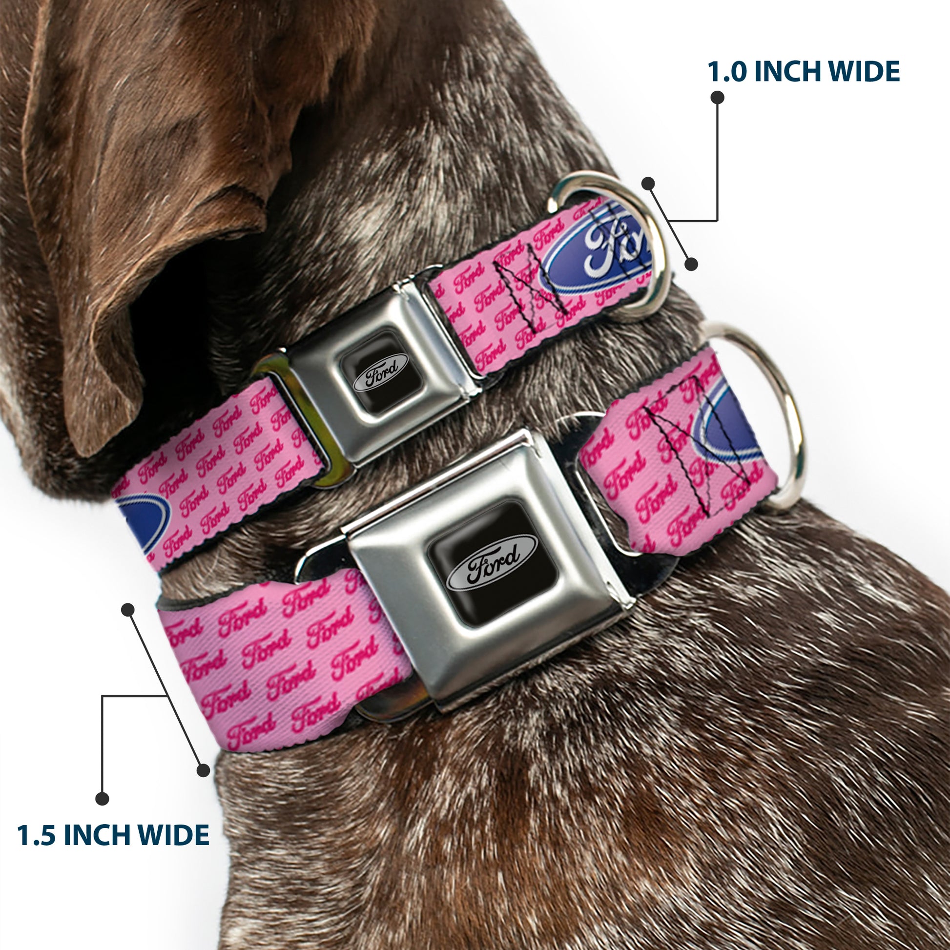 Ford Emblem Seatbelt Buckle Collar - Ford Oval w/Text PINK REPEAT Seatbelt Buckle Collars Ford