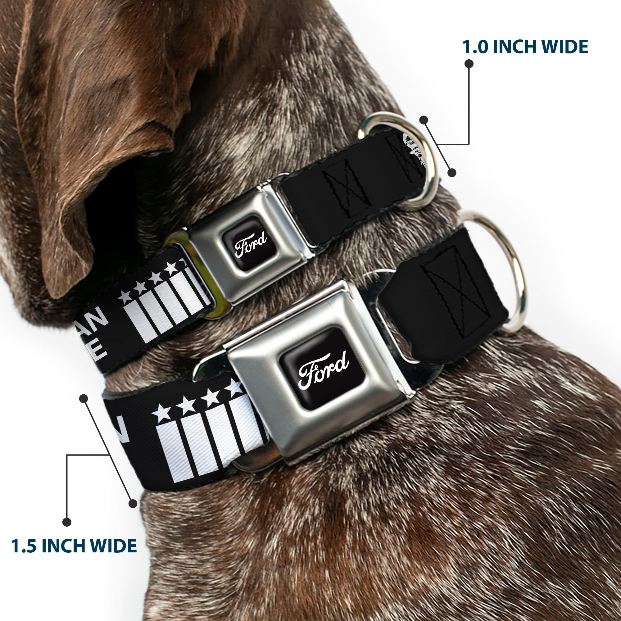 FORD Script Full Color Black/White Seatbelt Buckle Collar - Ford Mustang Grill AMERICAN MUSCLE Stars and Stripes Black/White Seatbelt Buckle Collars Ford Mustang