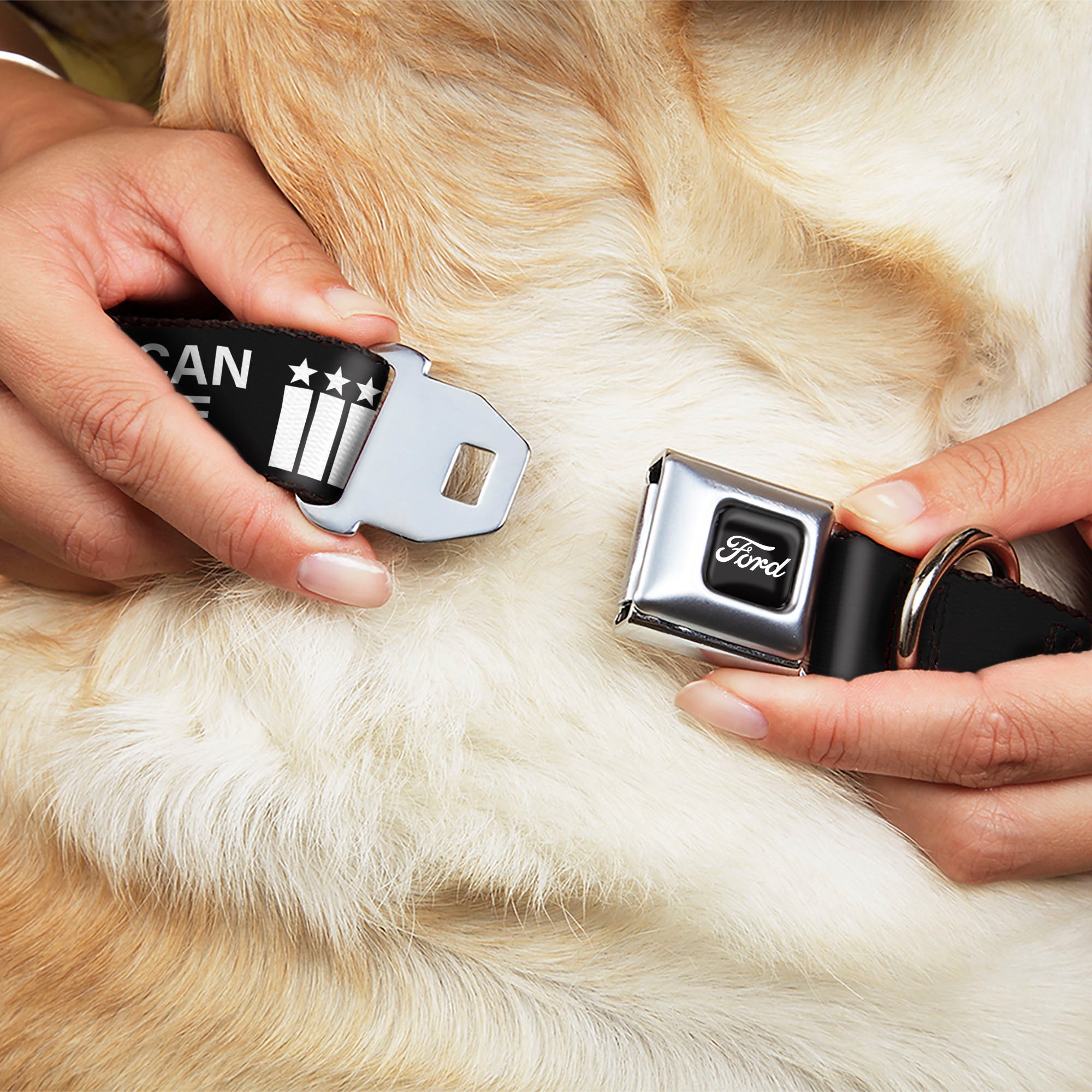 FORD Script Full Color Black/White Seatbelt Buckle Collar - Ford Mustang Grill AMERICAN MUSCLE Stars and Stripes Black/White Seatbelt Buckle Collars Ford Mustang