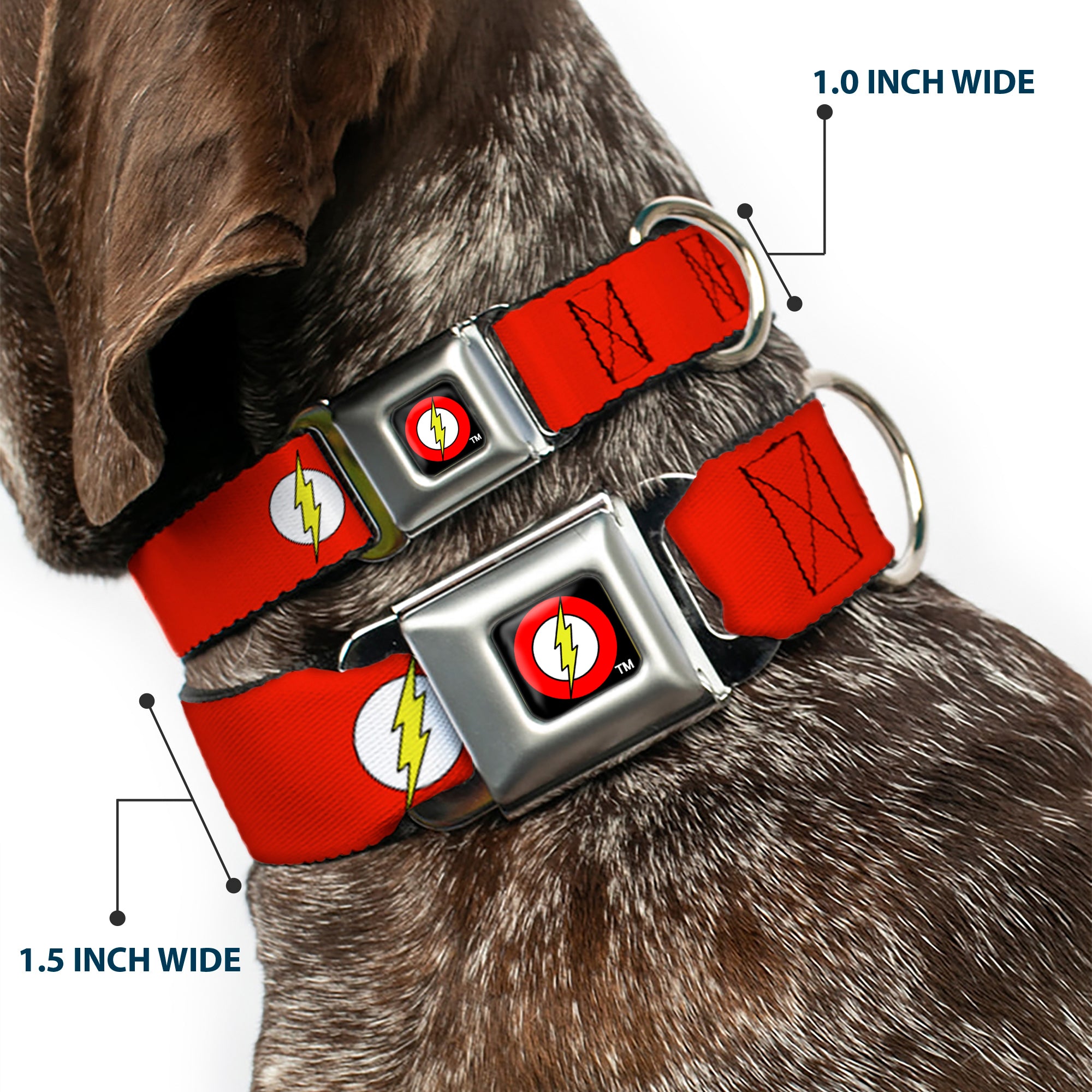 Flash Logo Black Seatbelt Buckle Collar - Flash Logo Red/White/Yellow Seatbelt Buckle Collars DC Comics