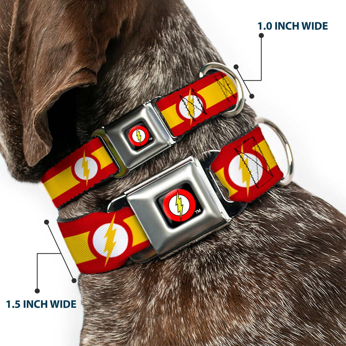 Flash Logo Black Seatbelt Buckle Collar - The Flash Logo7/Stripe Red/White/Yellow Dog Collars Seatbelt Buckle DC Comics