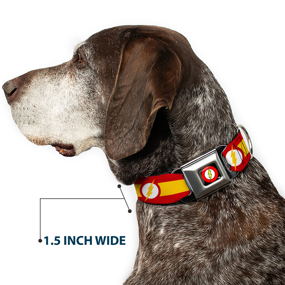Flash Logo Black Seatbelt Buckle Collar - The Flash Logo7/Stripe Red/White/Yellow Dog Collars Seatbelt Buckle DC Comics