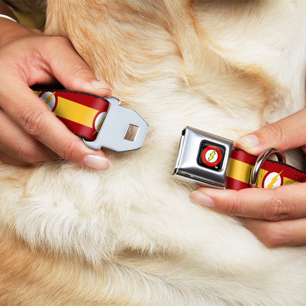 Flash Logo Black Seatbelt Buckle Collar - The Flash Logo7/Stripe Red/White/Yellow Dog Collars Seatbelt Buckle DC Comics