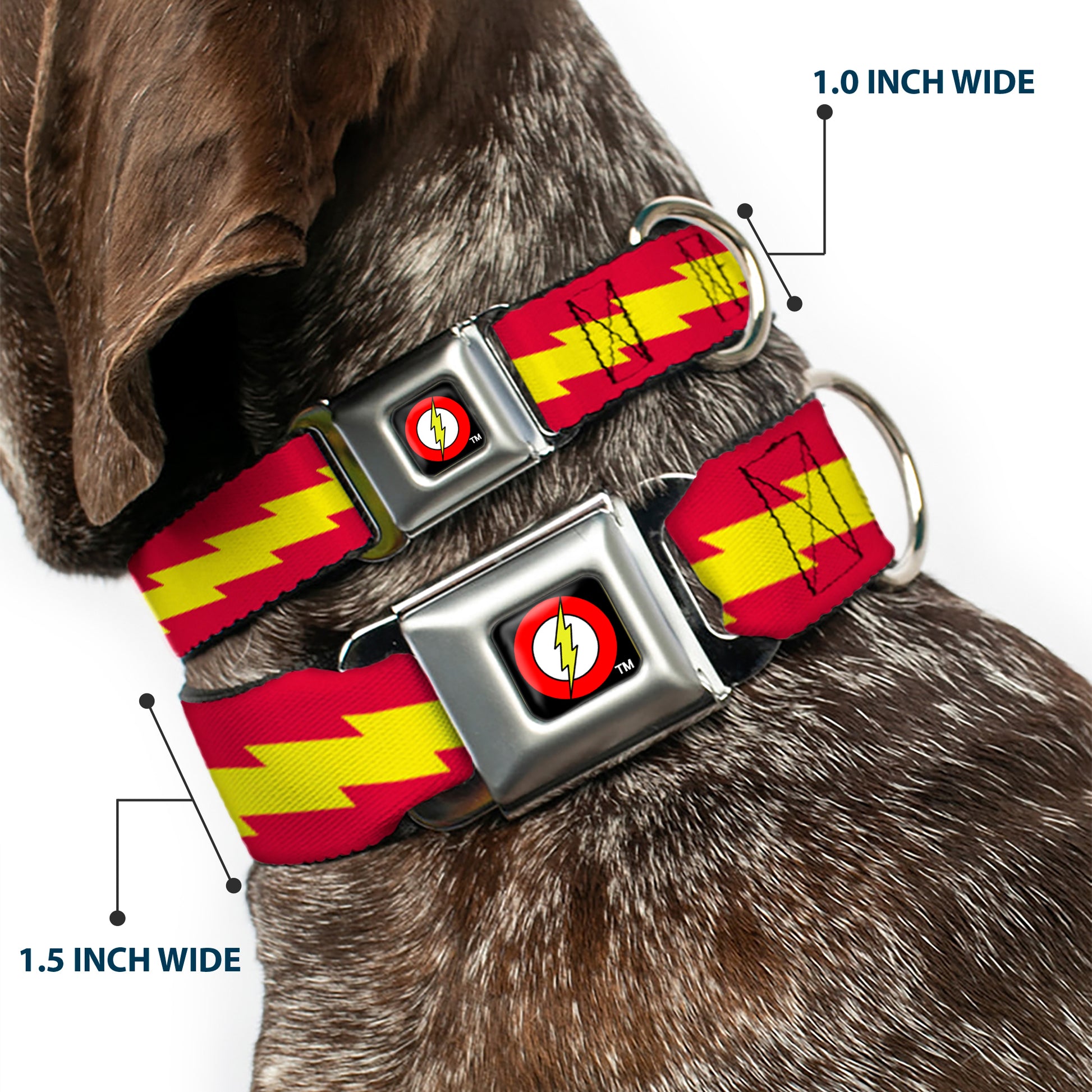 Flash Logo Black Seatbelt Buckle Collar - The Flash Bolt Stripe Red/Yellow Seatbelt Buckle Collars DC Comics