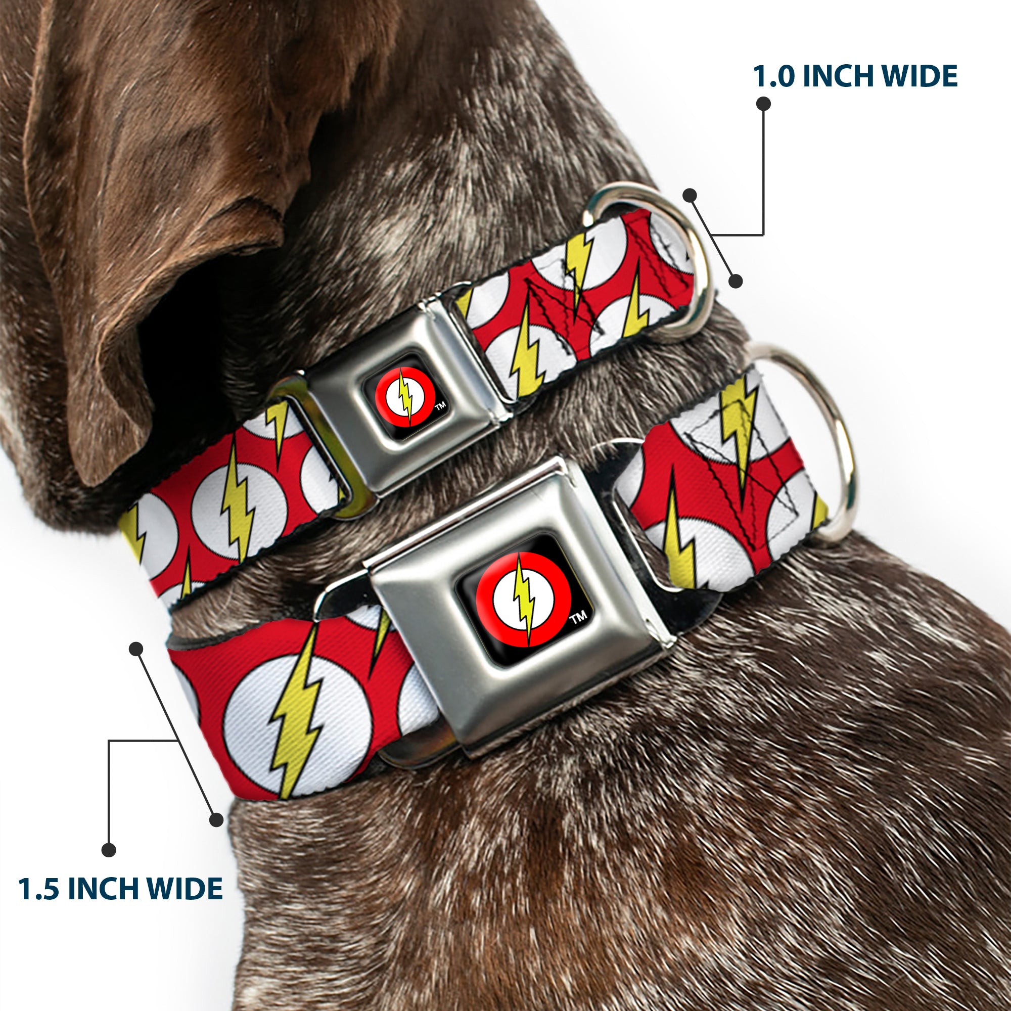 Flash Logo Black Seatbelt Buckle Collar - Flash Logo Scattered Red/White/Yellow Seatbelt Buckle Collars DC Comics