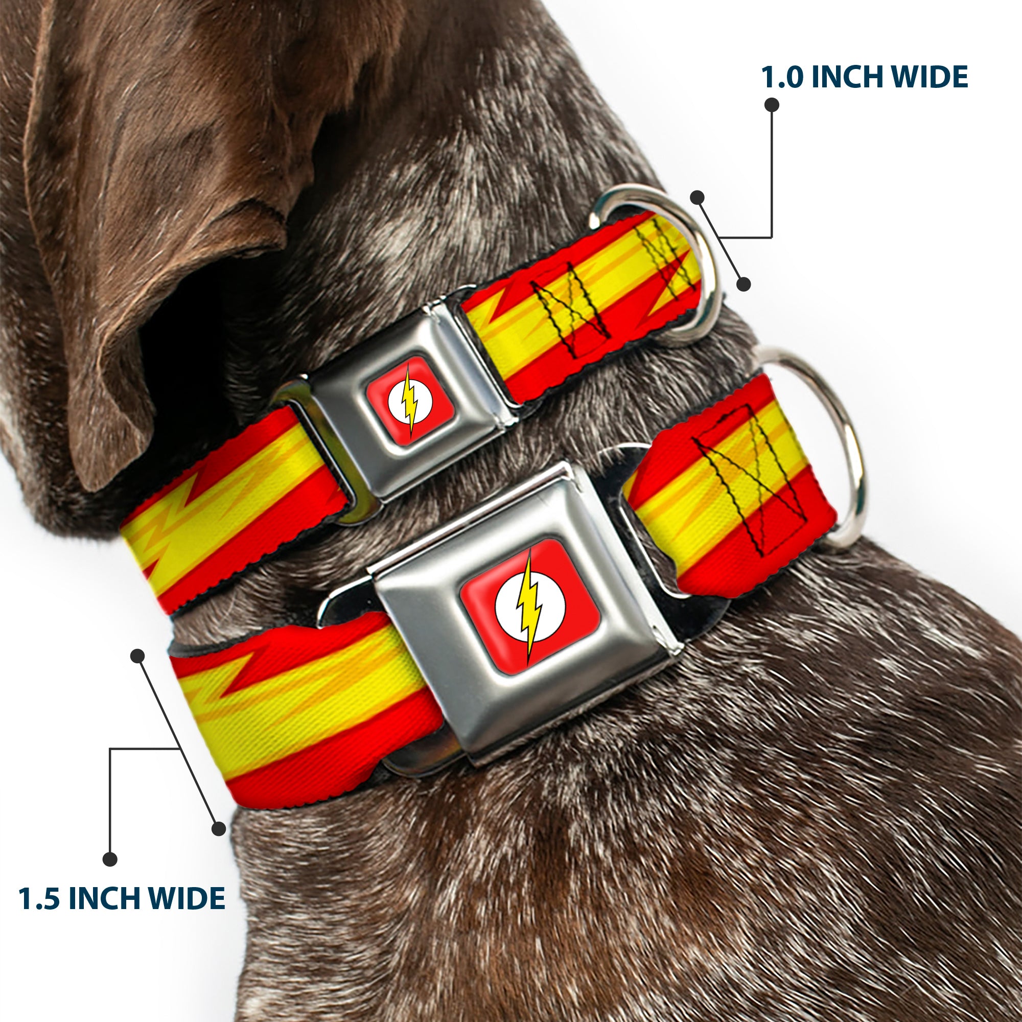 Flash Logo Full Color Red White Yellow Seatbelt Buckle Collar - The Flash Bolt Stripe Reds/Yellows Seatbelt Buckle Collars DC Comics