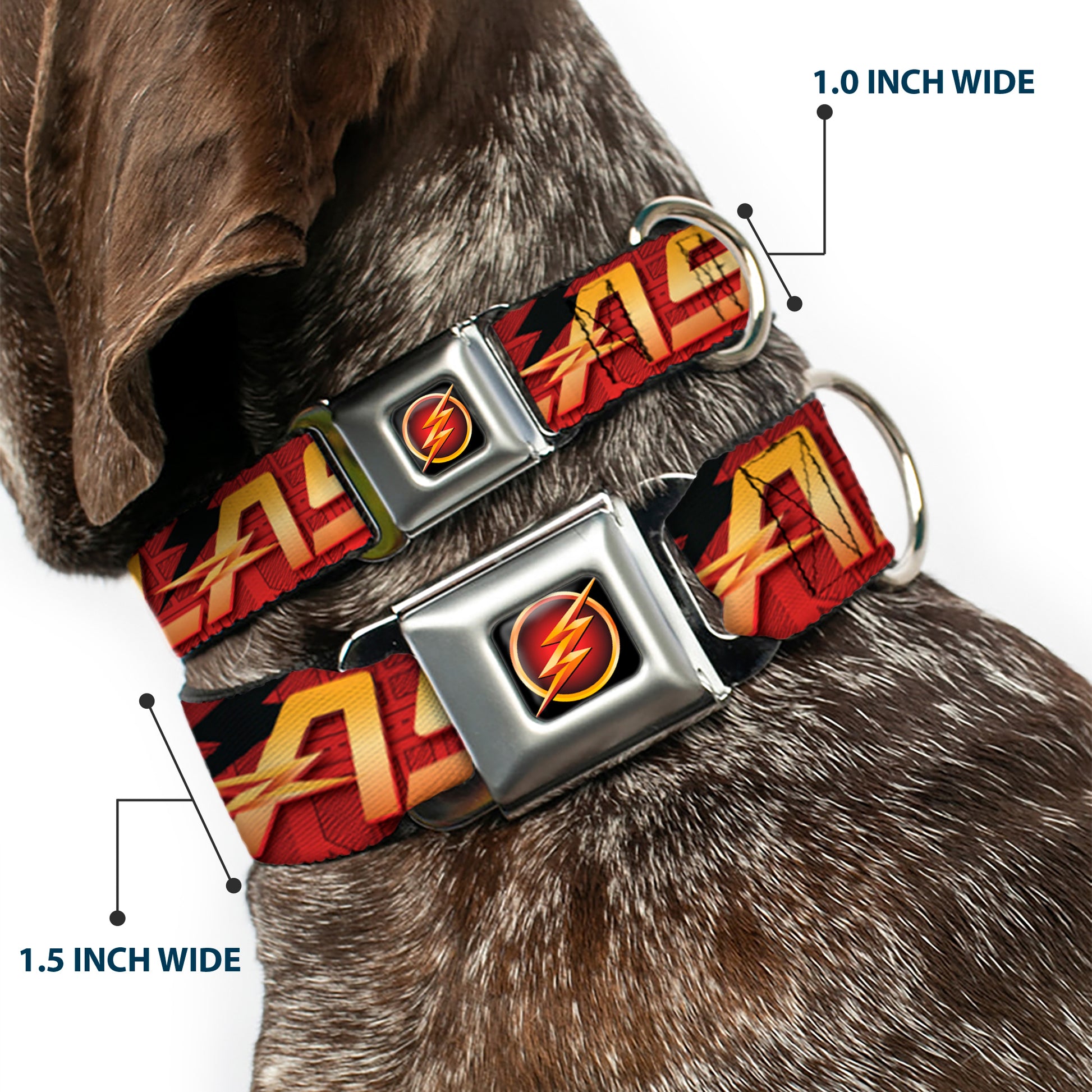 Flash Logo3 Full Color Black Gold Red Seatbelt Buckle Collar - THE FLASH/Logo3/Poses Black/Red/Gold Seatbelt Buckle Collars DC Comics