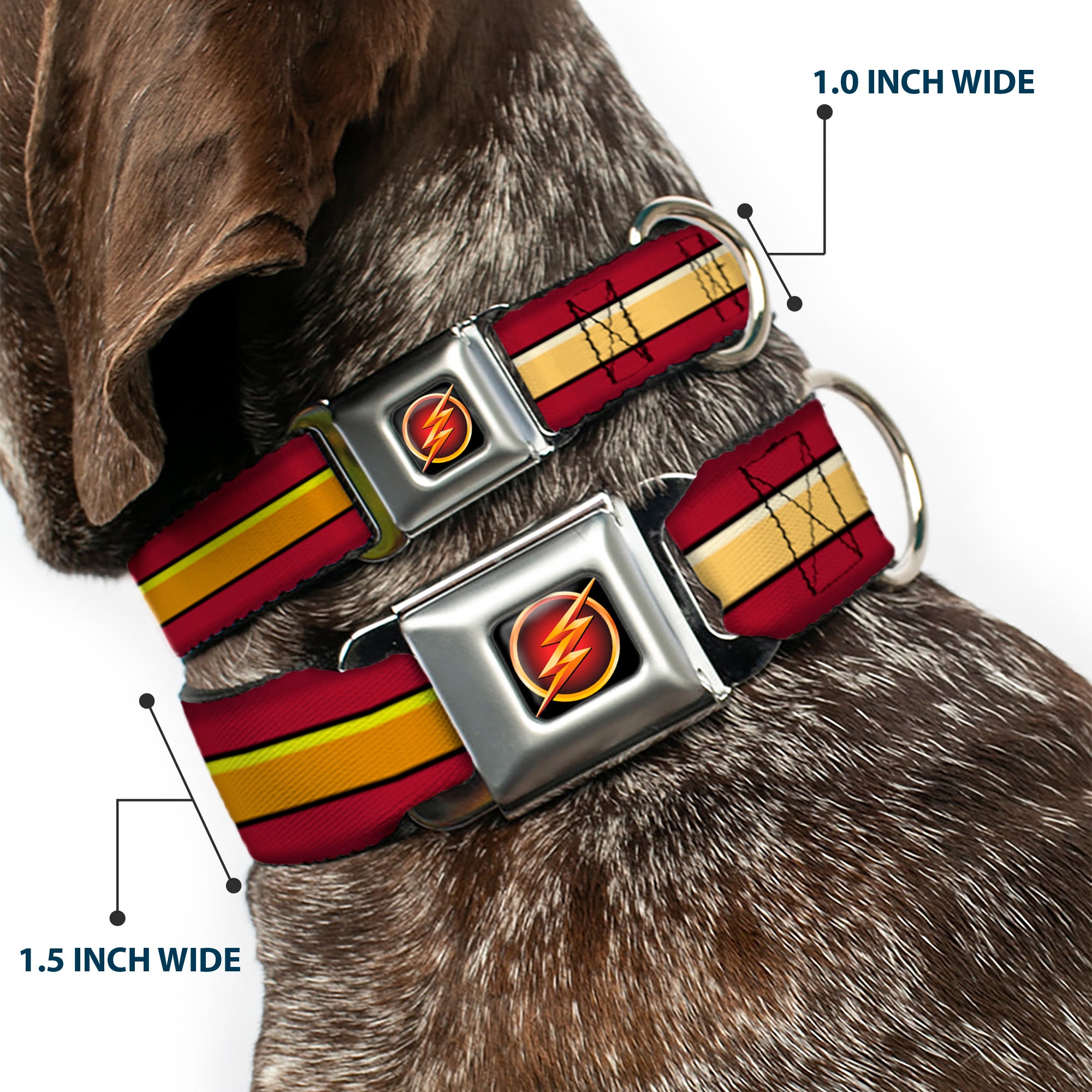 Flash Logo3 Black/Gold/Red Seatbelt Buckle Collar - The Flash Stripe Burgundy/Gold Seatbelt Buckle Collars DC Comics