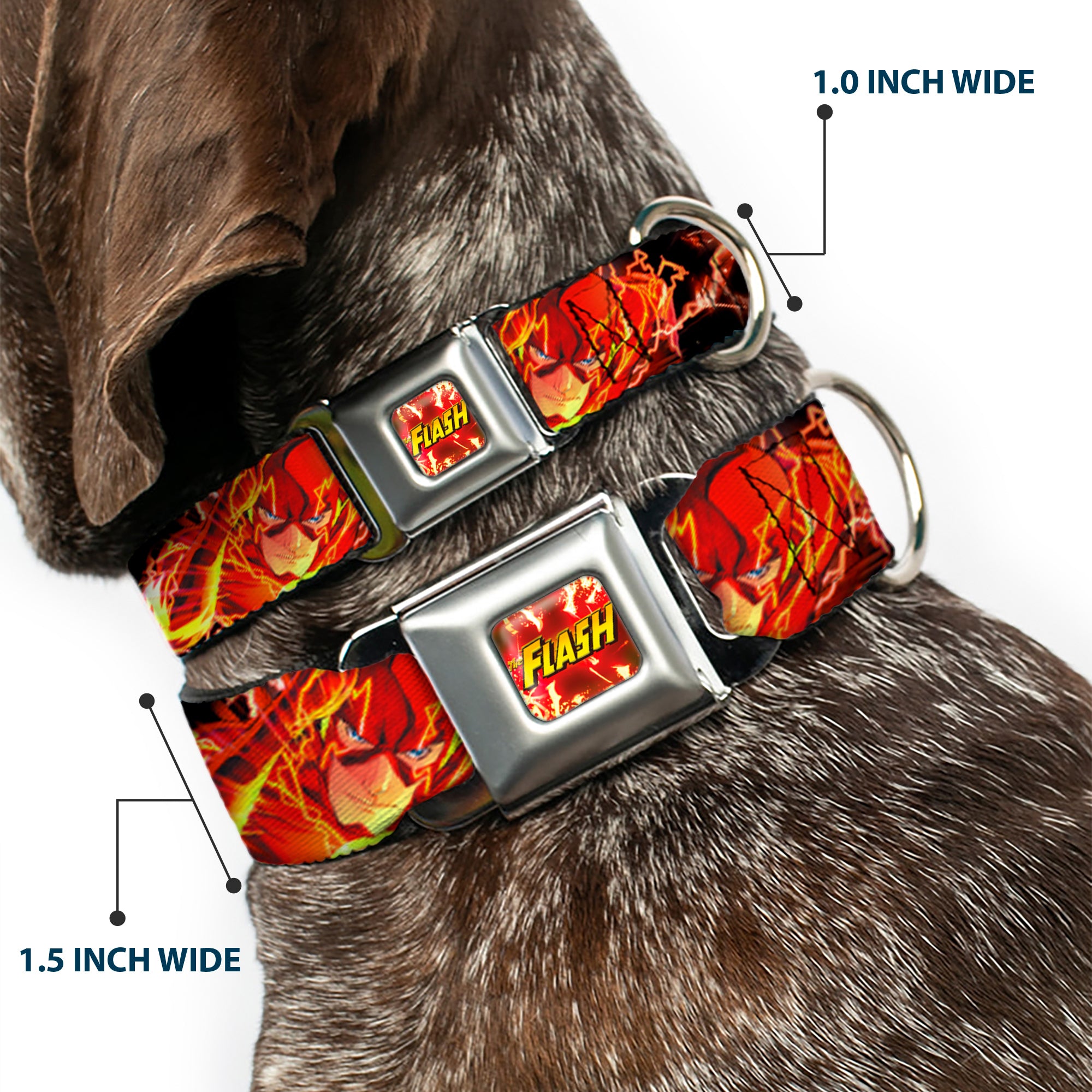 Dog Collar FLJ-THE FLASH Charge - THE FLASH Super Charged Running Pose Seatbelt Buckle Collars DC Comics
