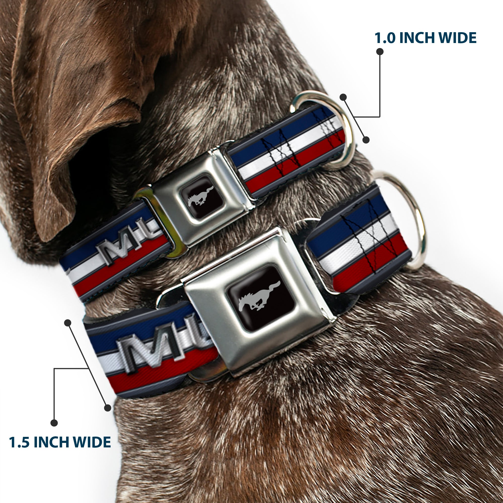 Ford Mustang Emblem Seatbelt Buckle Collar - Mustang/Text w/Tri-Bar Stripe Seatbelt Buckle Collars Ford