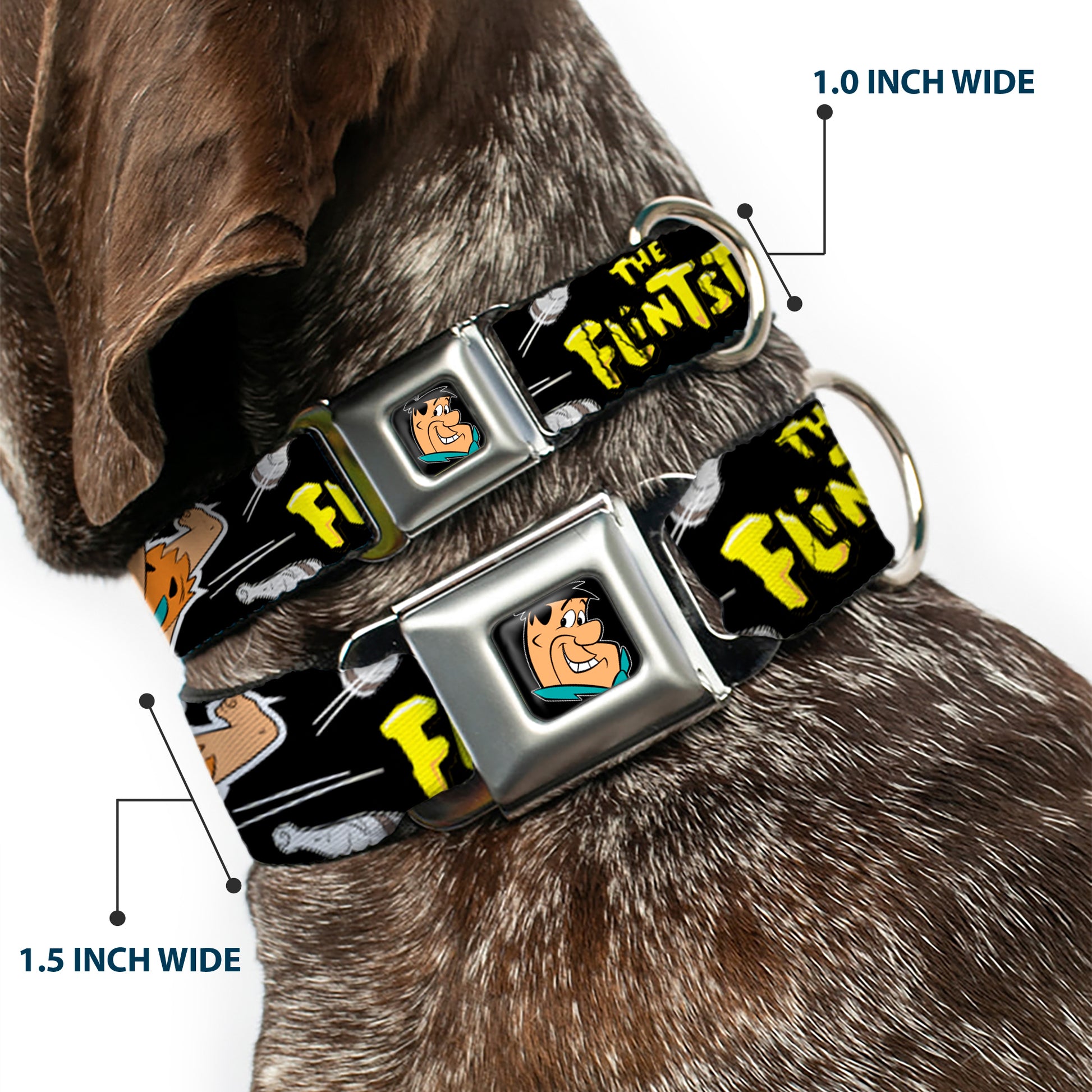 Fred Face Full Color Black Seatbelt Buckle Collar - Dog Collar FSE-Fred Face Full Color Black - THE FLINTSTONES Fred Bowling Poses/Bowling Pins Black Seatbelt Buckle Collars The Flintstones