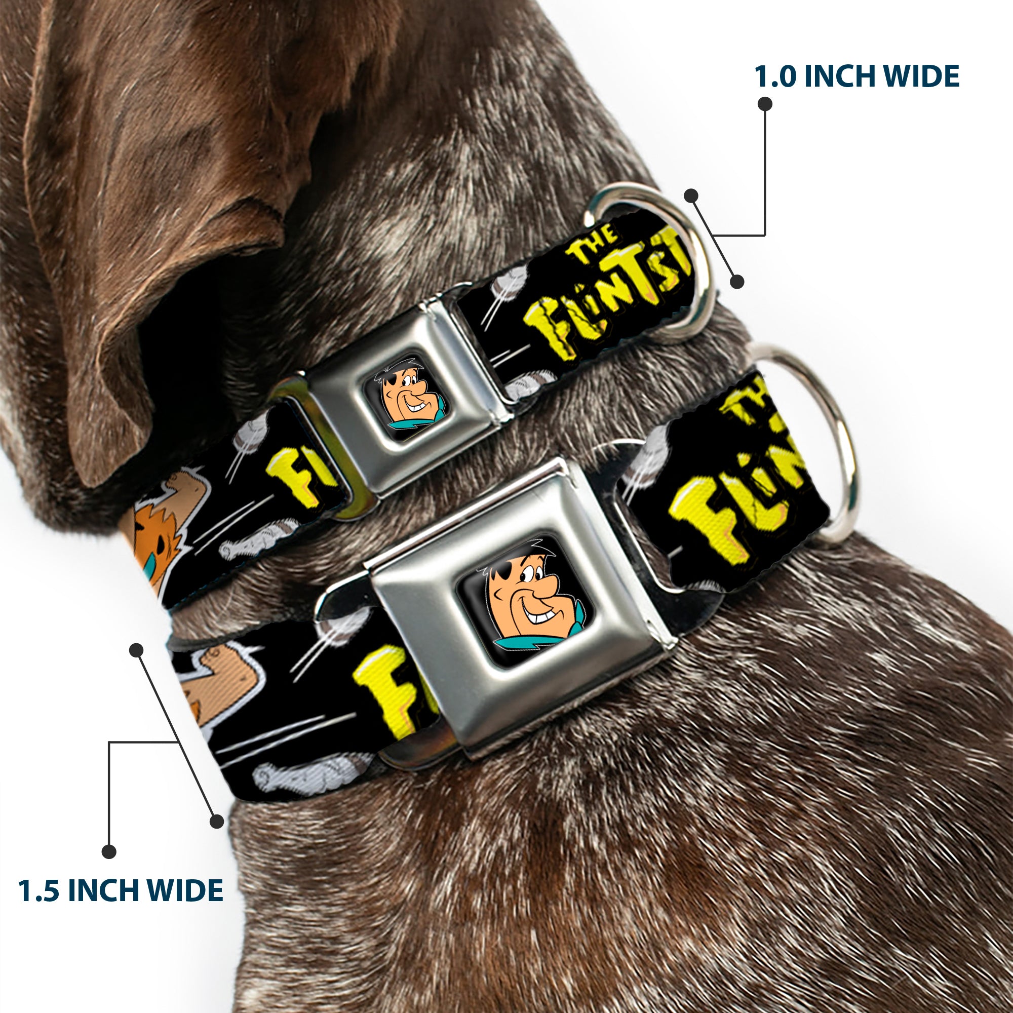 Fred Face Full Color Black Seatbelt Buckle Collar - Dog Collar FSE-Fred Face Full Color Black - THE FLINTSTONES Fred Bowling Poses/Bowling Pins Black Seatbelt Buckle Collars The Flintstones