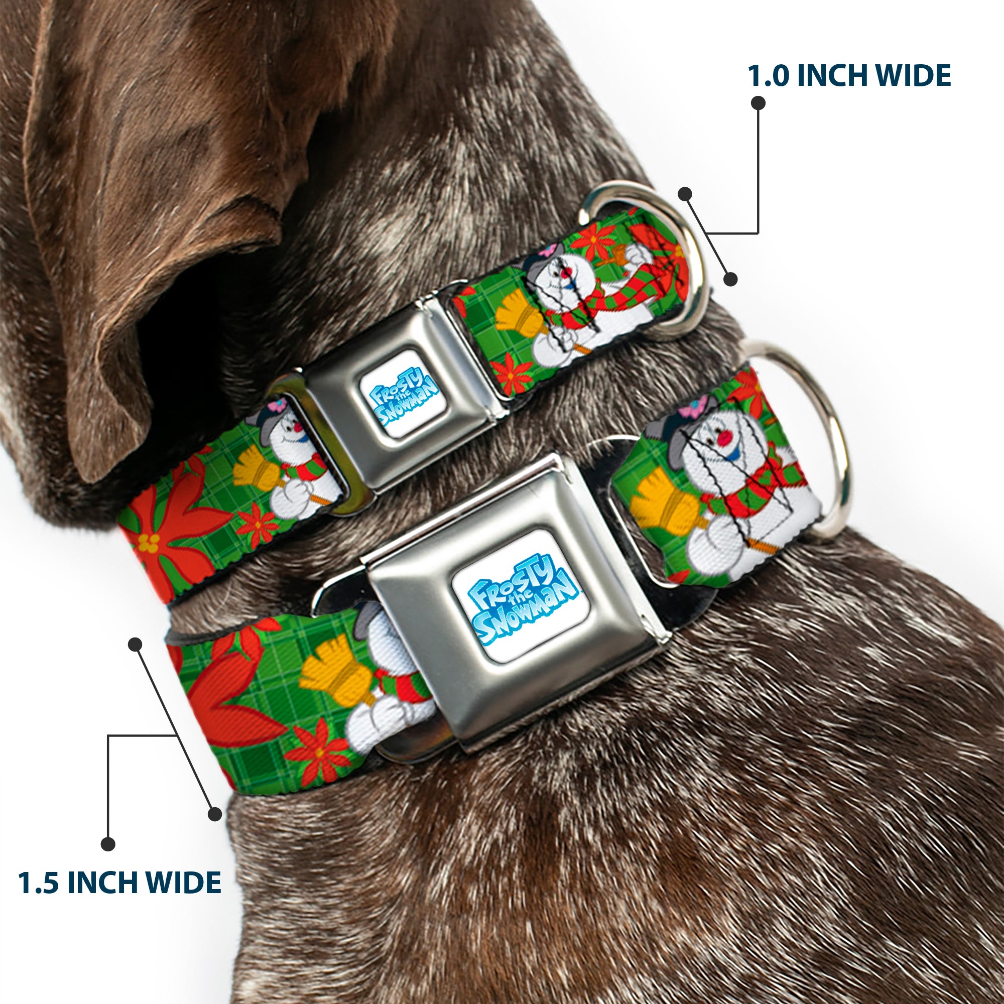 FROSTY THE SNOWMAN Logo Full Color White/Blues Seatbelt Buckle Collar - Frosty the Snowman Pose Poinsetta Plaid Collage Greens/Reds Seatbelt Buckle Collars Frosty the Snowman