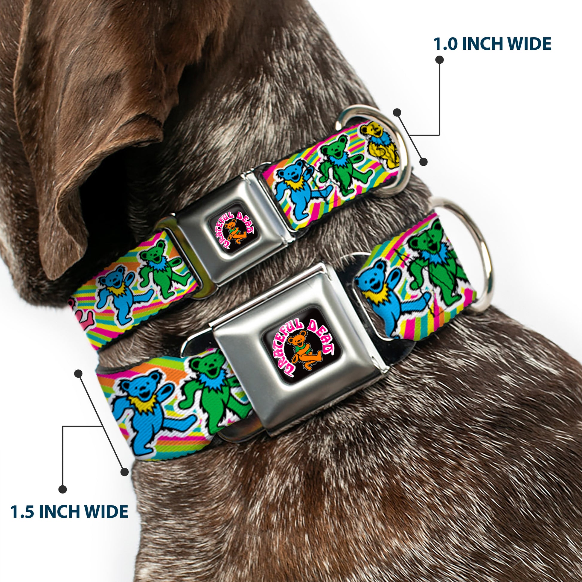 GRATEFUL DEAD Dancing Bear Icon Full Color Black/Orange Seatbelt Buckle Collar - Grateful Dead Dancing Bears Swirl Multi Color Seatbelt Buckle Collars Grateful Dead