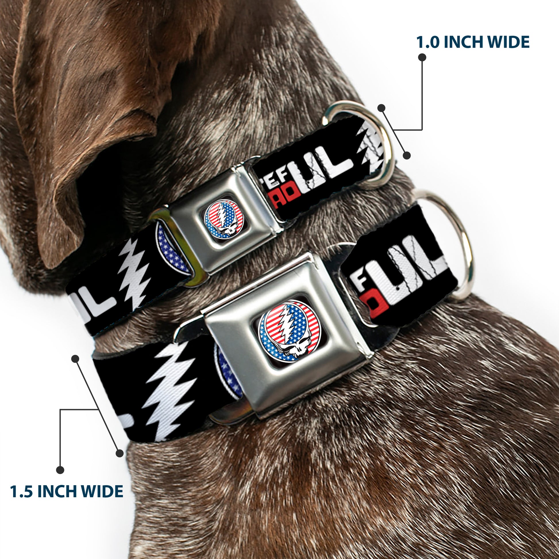 Grateful Dead Steal Your Face Stars and Stripes Logo Full Color Black/White/Red/Blue Seatbelt Buckle Collar - GRATEFUL DEAD Text with Steal Your Face Stars and Stripes Logo Black/White/Red/Blue Seatbelt Buckle Collars Grateful Dead