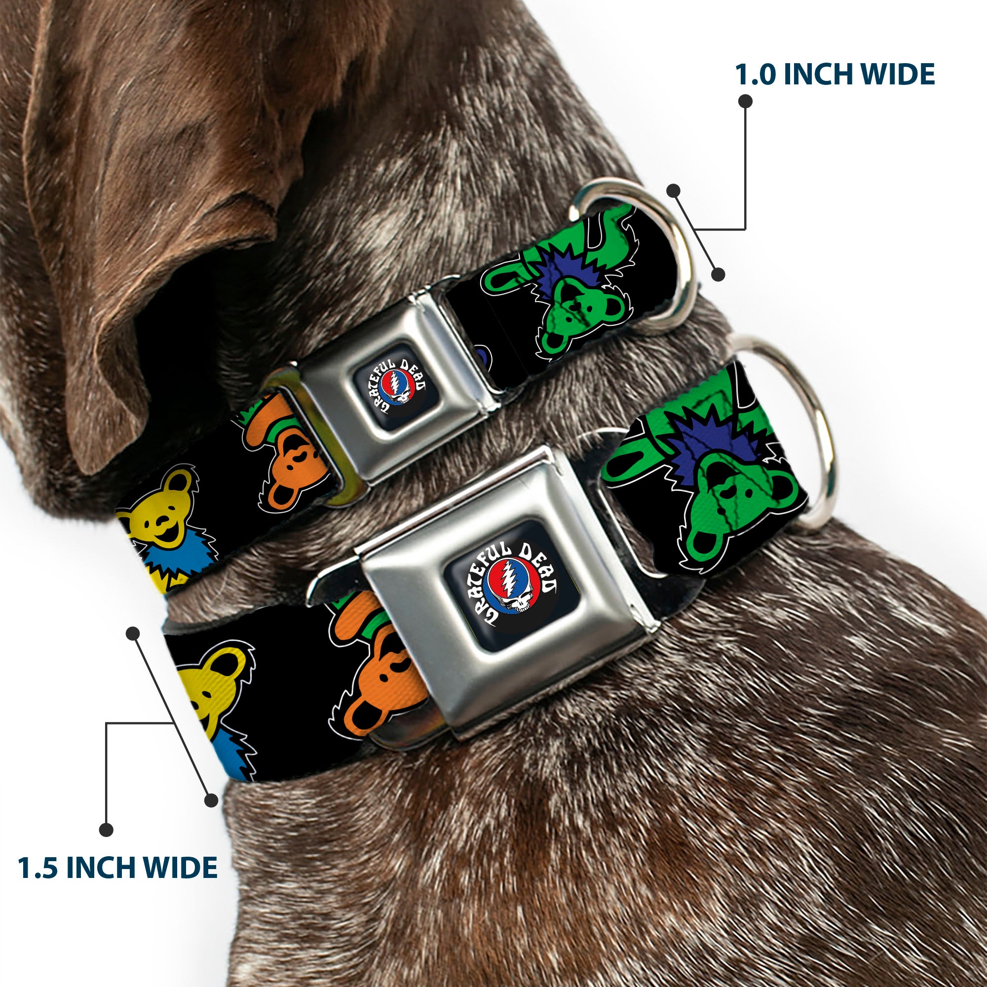 GRATEFUL DEAD Text with Steal Your Face Logo Full Color Black Seatbelt Buckle Collar - Grateful Dead Dancing Bears Close-Up Black/Multi Color Seatbelt Buckle Collars Grateful Dead