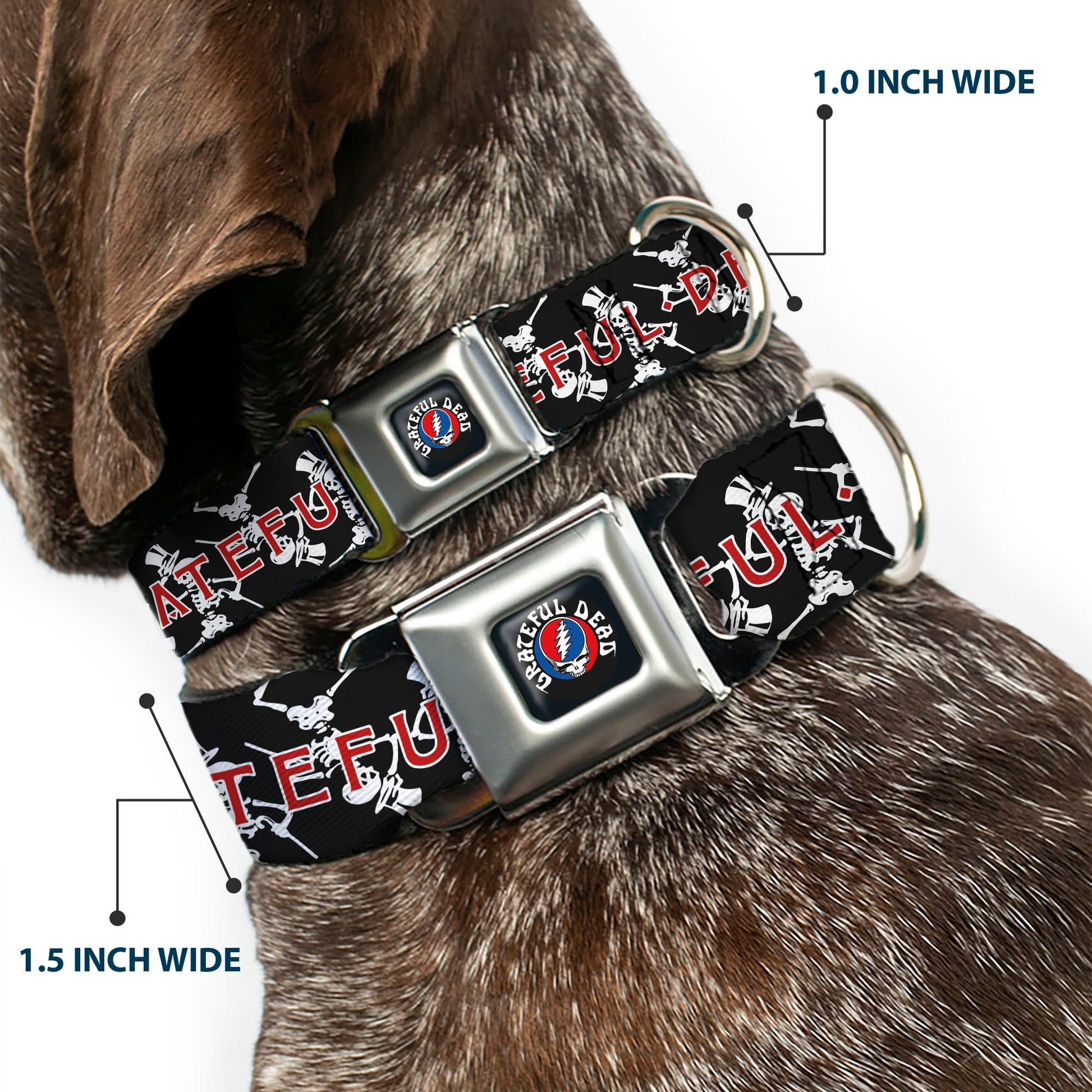 GRATEFUL DEAD Text with Steal Your Face Logo Full Color Black Seatbelt Buckle Collar - GRATEFUL DEAD Dancing Skeletons and Text Black/White/Red Seatbelt Buckle Collars Grateful Dead