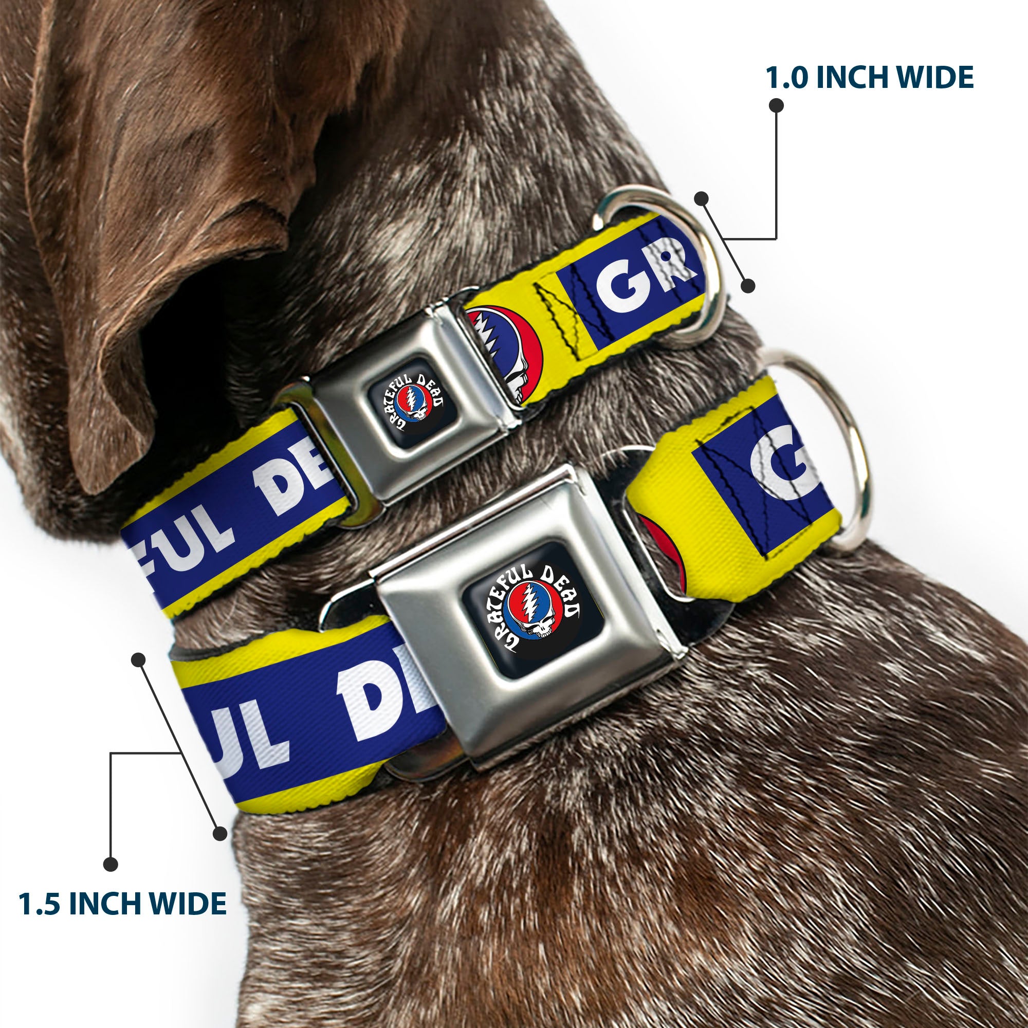 GRATEFUL DEAD Text with Steal Your Face Logo Full Color Black Seatbelt Buckle Collar - GRATEFUL DEAD Text Box and Steal Your Face Logo Yellow/Blue/White Seatbelt Buckle Collars Grateful Dead