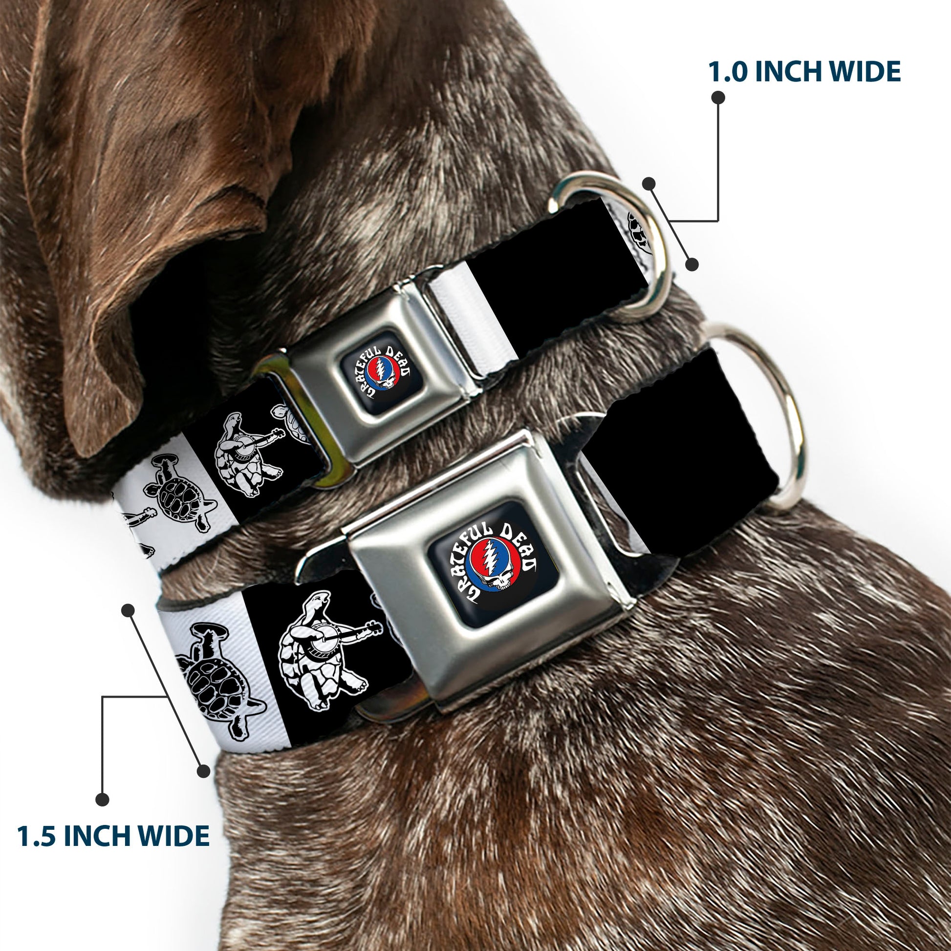 Grateful Dead Steal Your Face Stars and Stripes Logo Full Color Black/White/Red/Blue Seatbelt Buckle Collar - Grateful Dead Dancing Terrapin Blocks Black/White Seatbelt Buckle Collars Grateful Dead