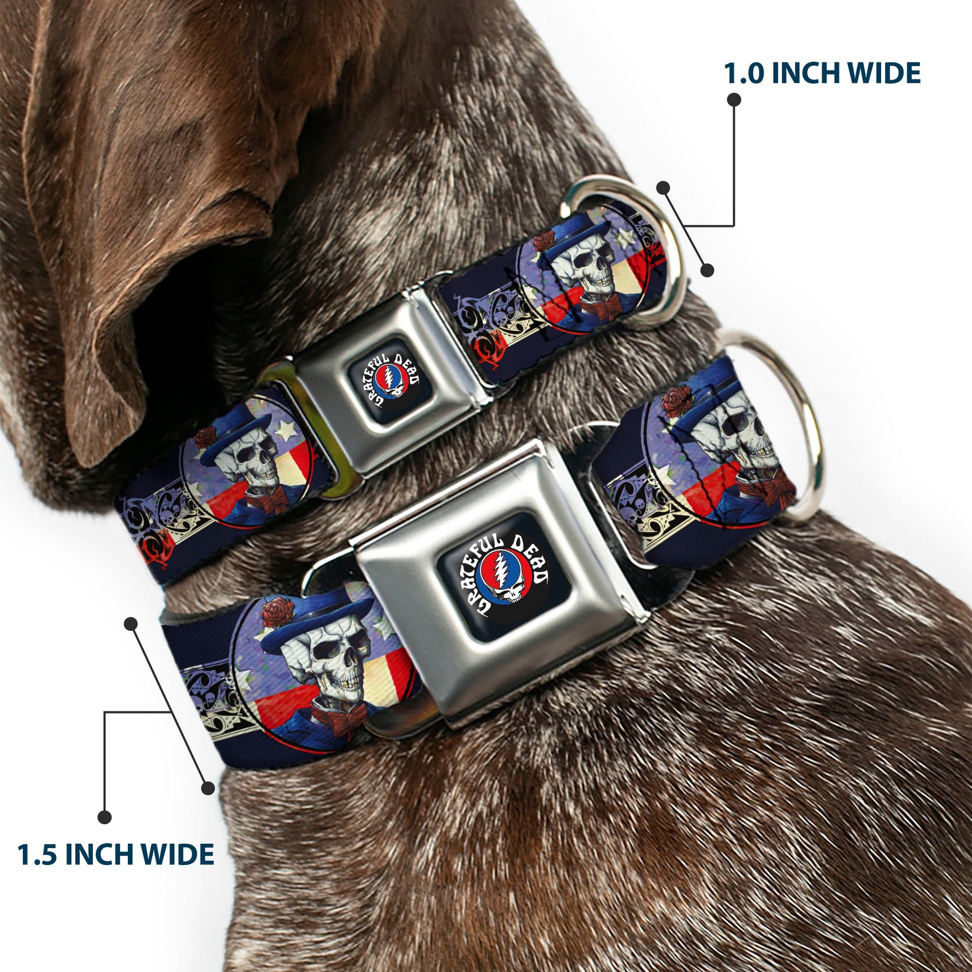 GRATEFUL DEAD Text with Steal Your Face Logo Full Color Black Seatbelt Buckle Collar - Grateful Dead Dave's Picks Skeleton Americana Bonus Art Seatbelt Buckle Collars Grateful Dead