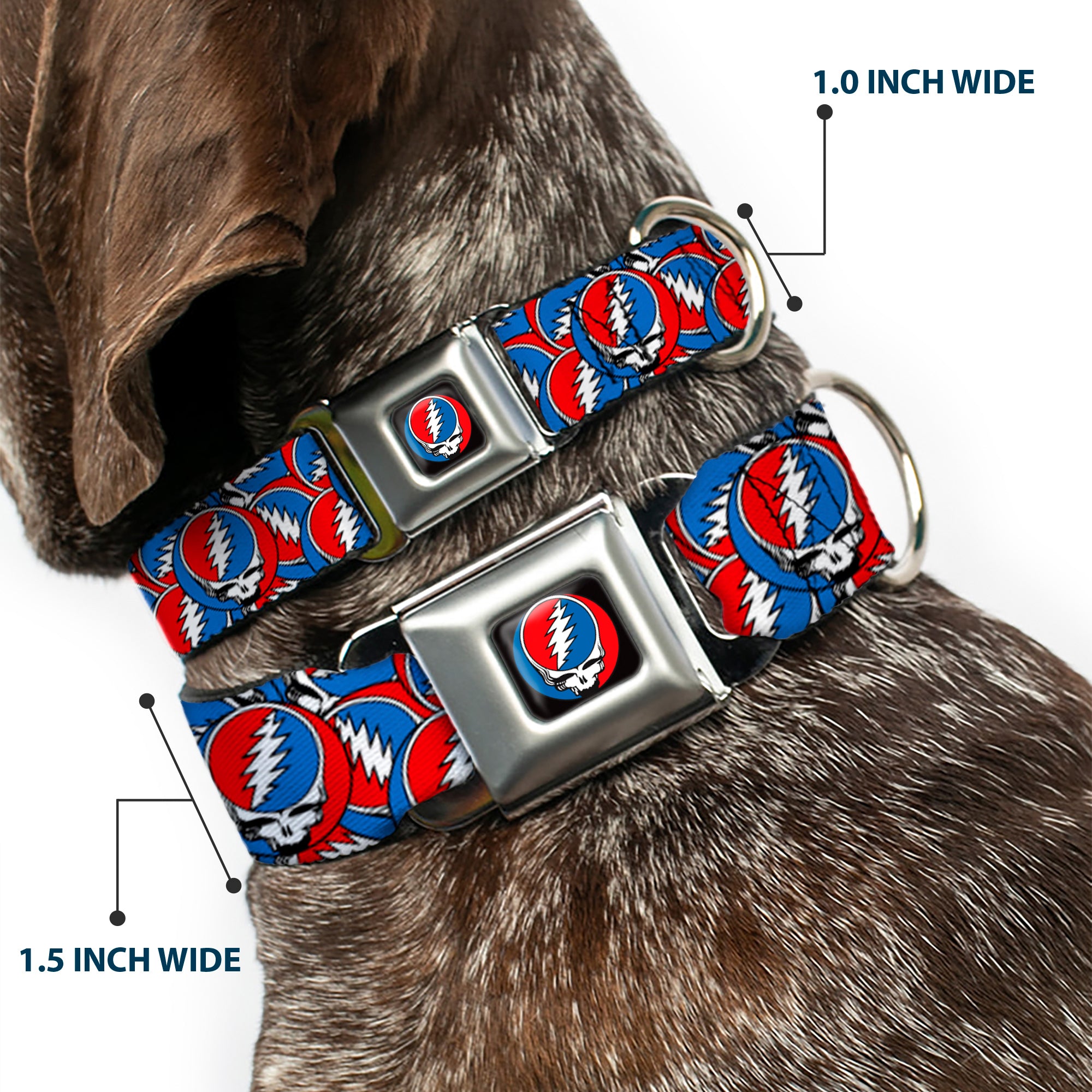 Grateful Dead Steal Your Face Logo Full Color Black/Red/White/Blue Seatbelt Buckle Collar - Grateful Dead Steal Your Face Logo Stacked Red/White/Blue Seatbelt Buckle Collars Grateful Dead