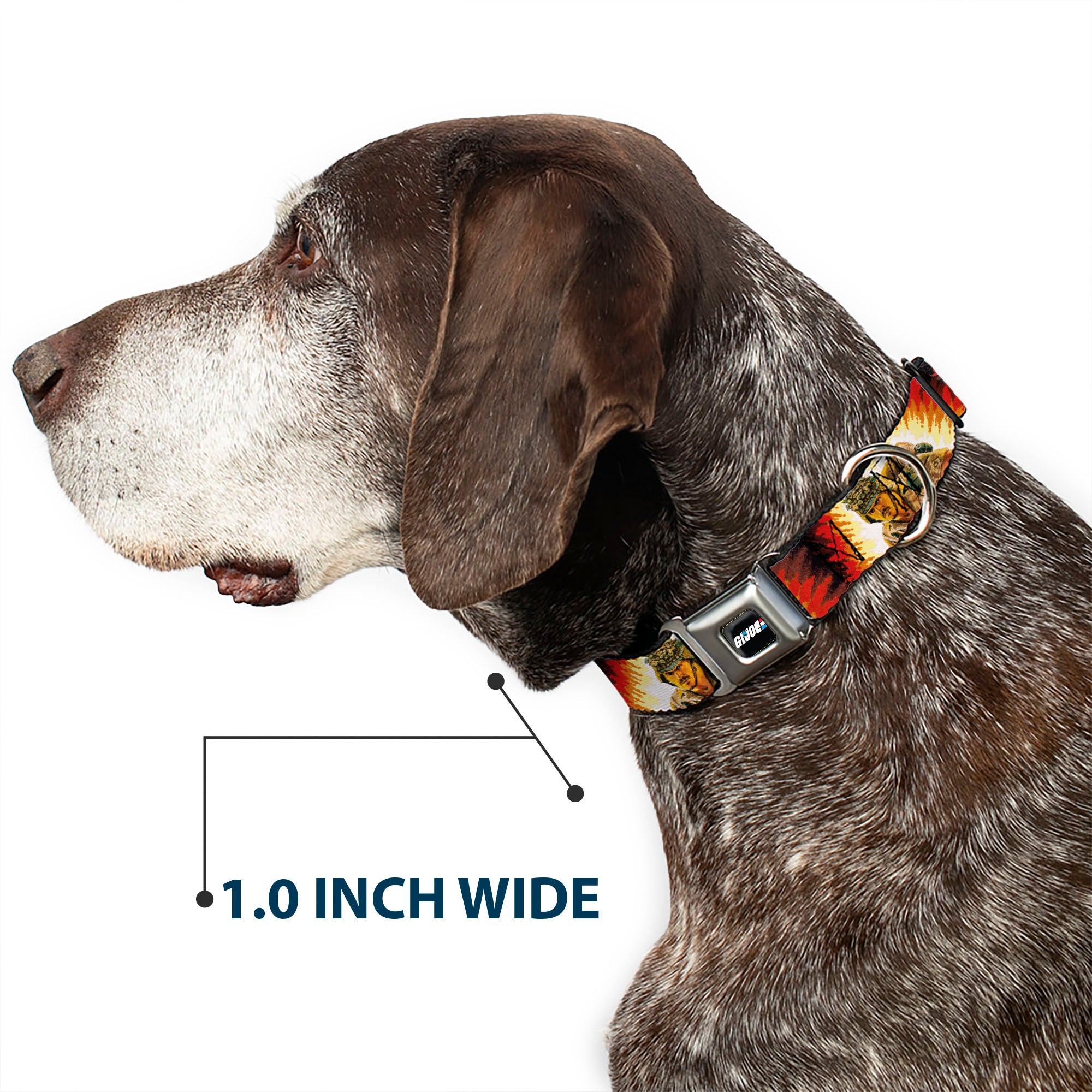 GI JOE Title Logo Stripe Full Color Black/Red/White/Blue Seatbelt Buckle Collar - GI Joe Retro Footloose Flash Air Tight Character File Card Explosion Poses Seatbelt Buckle Collars GI Joe