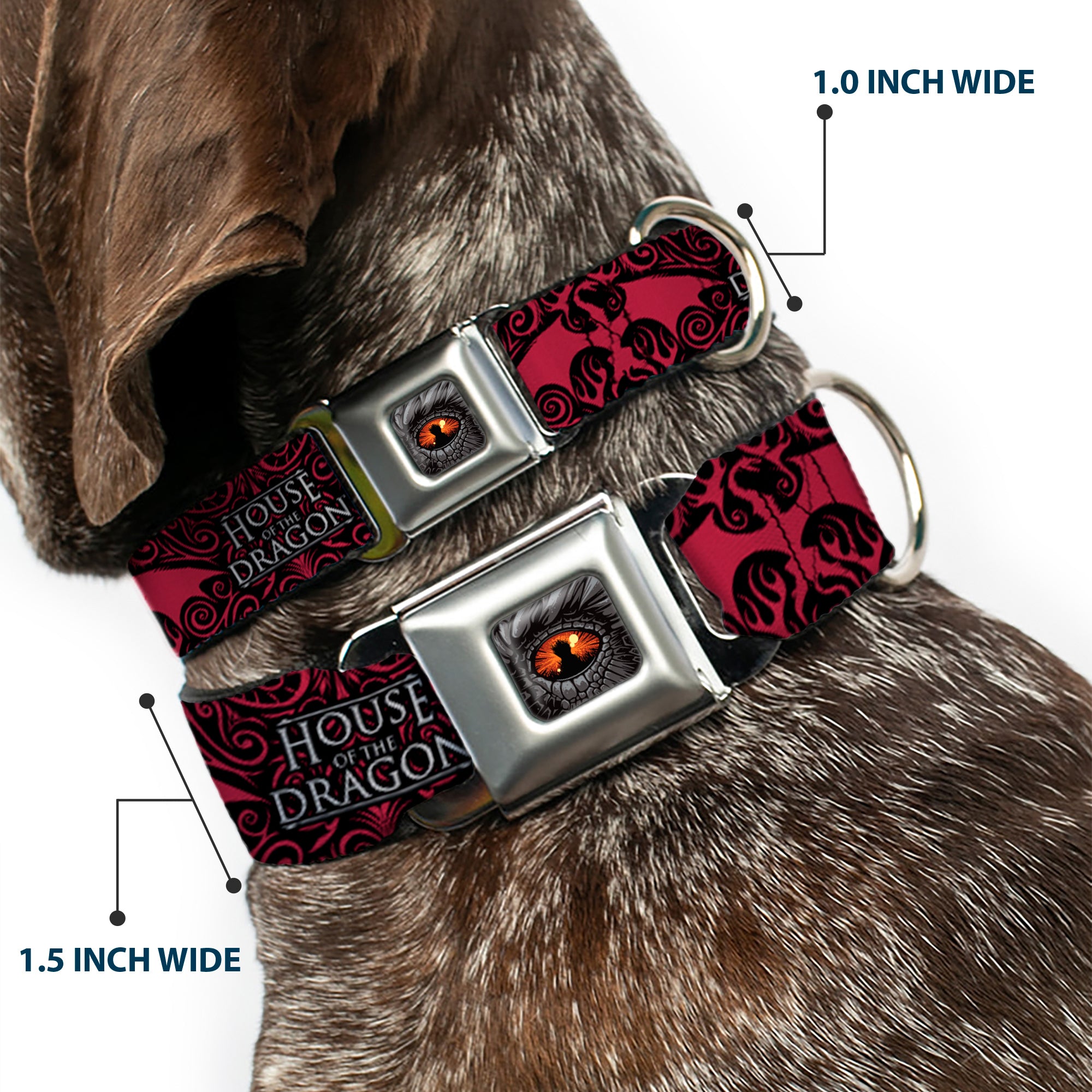 House of the Dragon Eye Throne Icon Full Color Black/Gray/Orange Seatbelt Buckle Collar - HOUSE OF THE DRAGON Dragon Icon Black/Red/White Seatbelt Buckle Collars House of the Dragon