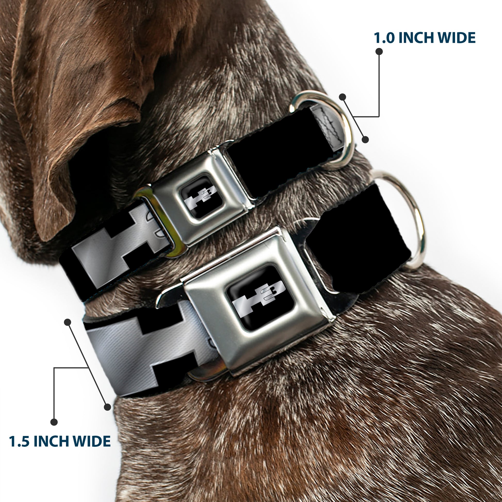 H3 Seatbelt Buckle Collar - H3 Black/Silver Logo REPEAT Seatbelt Buckle Collars GM General Motors