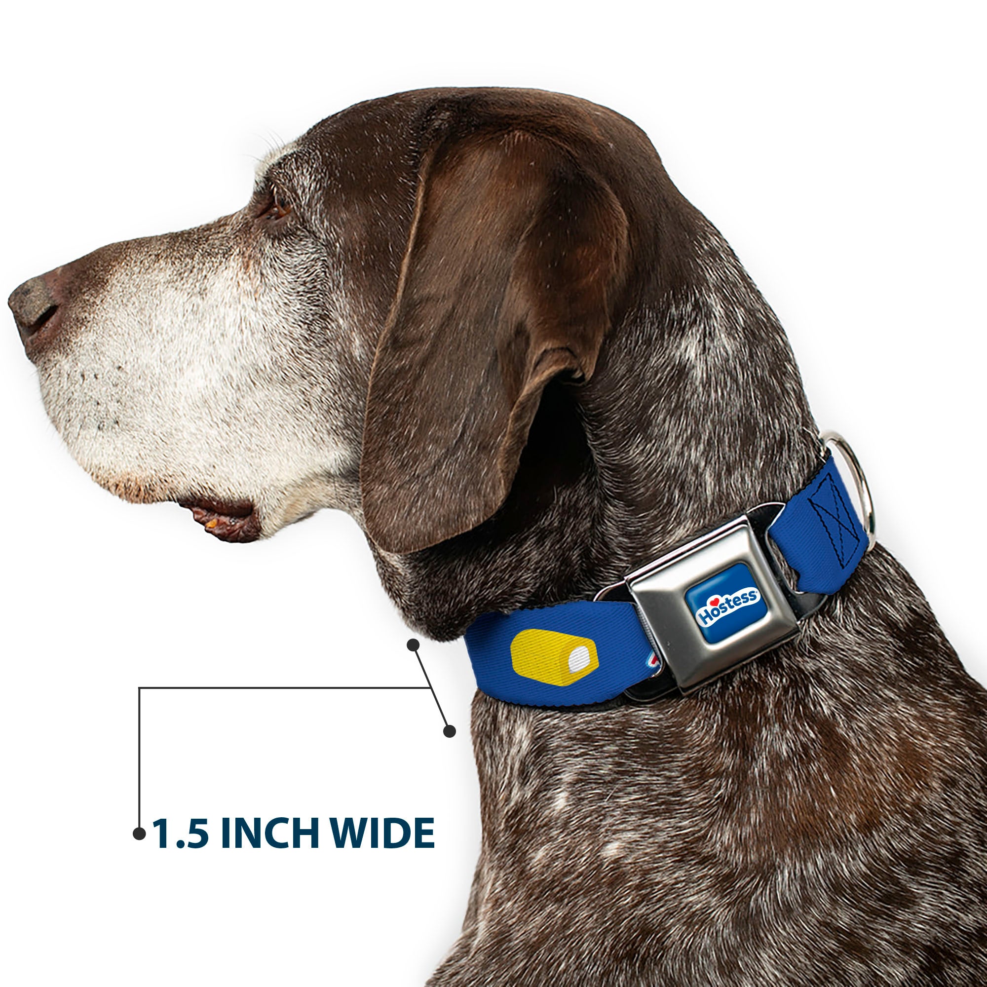HOSTESS Logo Blue/White/Red Seatbelt Buckle Collar - Hostess Twinkies Pieces and Logo Blue/Yellow/White