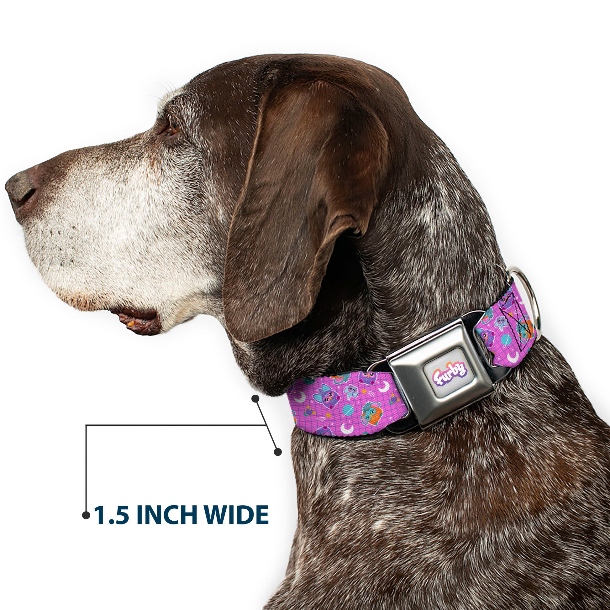 FURBY Logo Full Color Gray/Multi Color Seatbelt Buckle Collar - Furby and Furblets Galaxy Grid Collage Pink/Purple Seatbelt Buckle Collars Furby