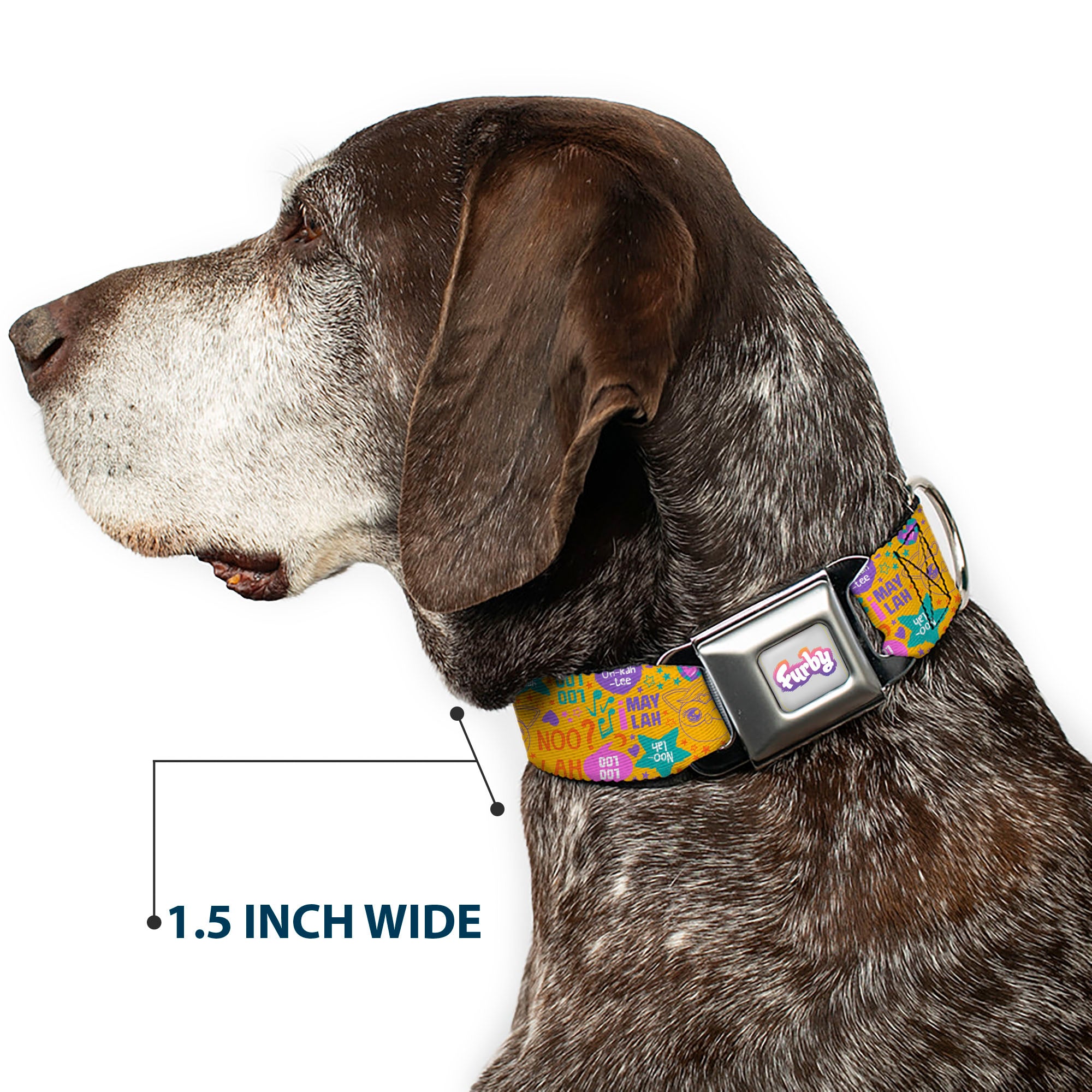 FURBY Logo Full Color Gray/Multi Color Seatbelt Buckle Collar - Furby Furbmoji and Furbish Phrases and Icons Orange/Pink/Purple Seatbelt Buckle Collars Furby