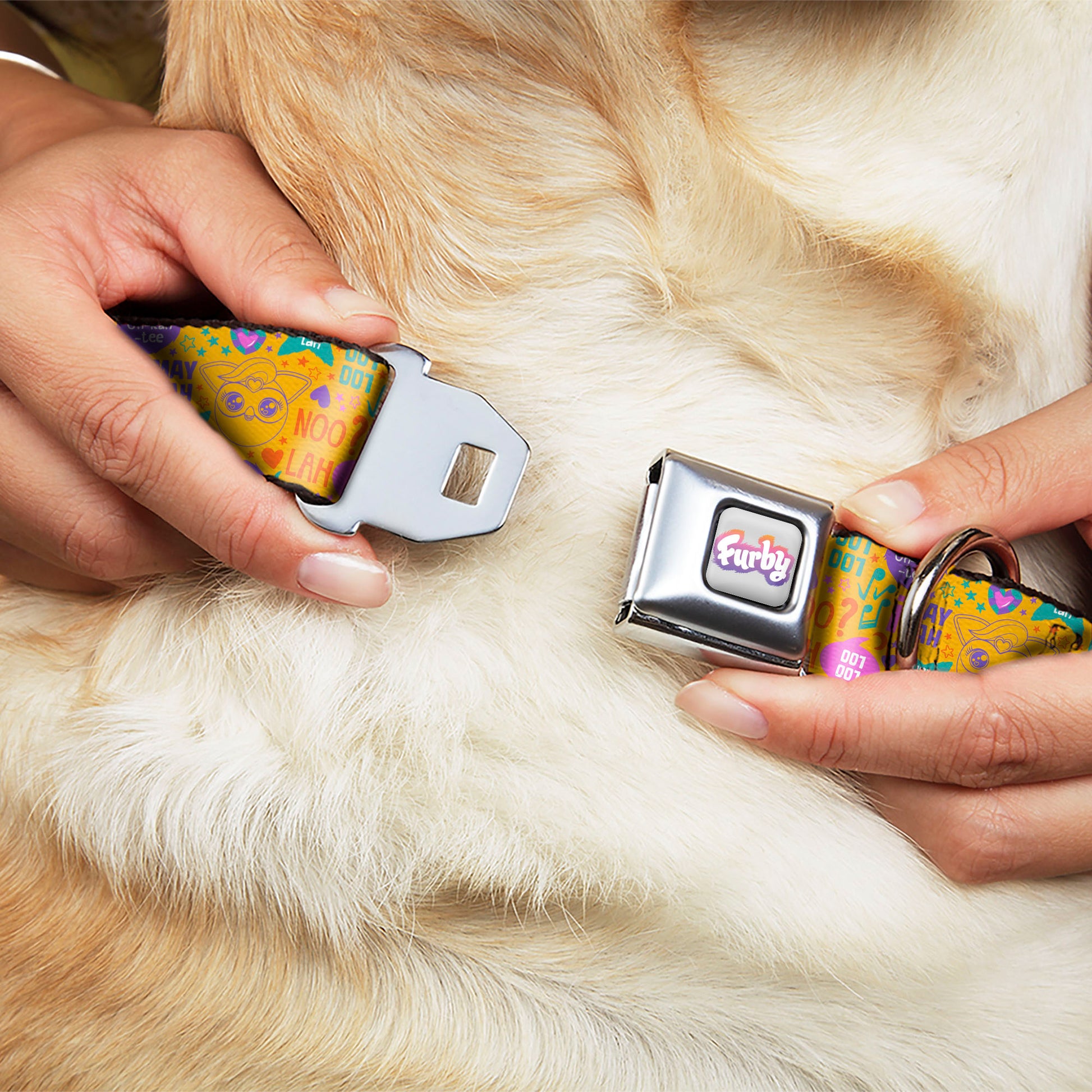 FURBY Logo Full Color Gray/Multi Color Seatbelt Buckle Collar - Furby Furbmoji and Furbish Phrases and Icons Orange/Pink/Purple Seatbelt Buckle Collars Furby
