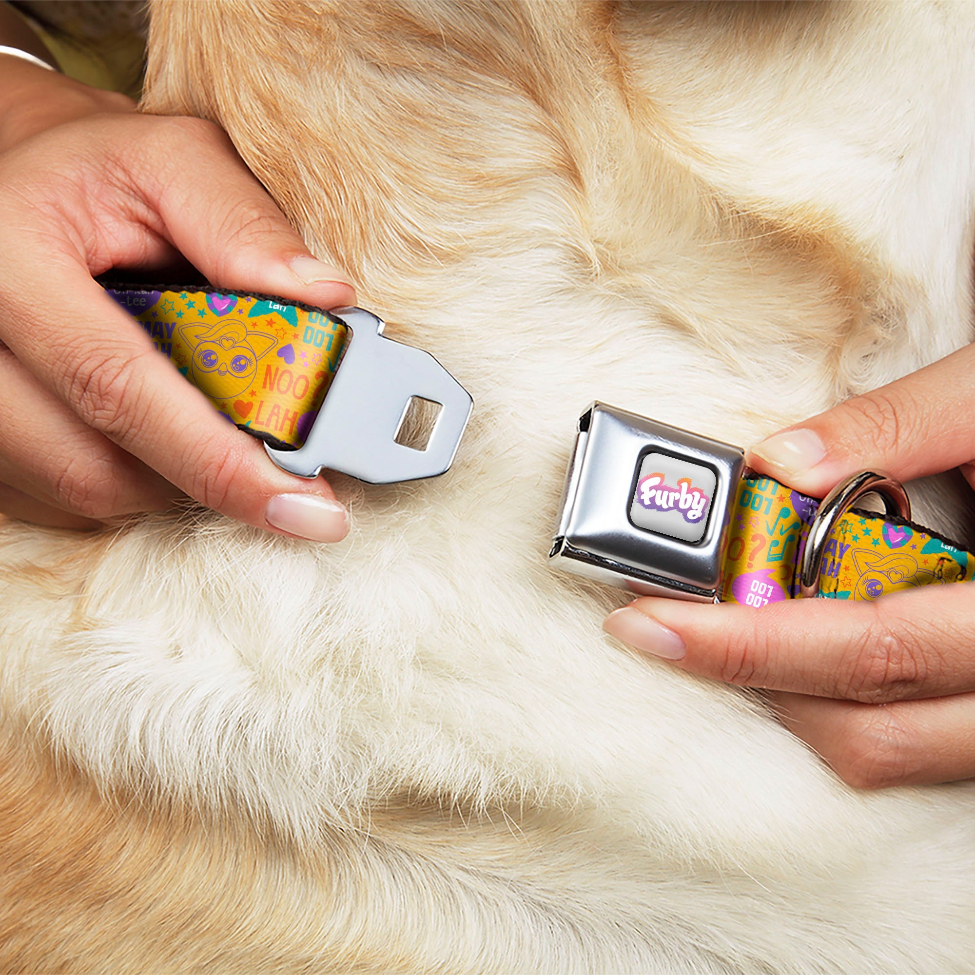 FURBY Logo Full Color Gray/Multi Color Seatbelt Buckle Collar - Furby Furbmoji and Furbish Phrases and Icons Orange/Pink/Purple Seatbelt Buckle Collars Furby