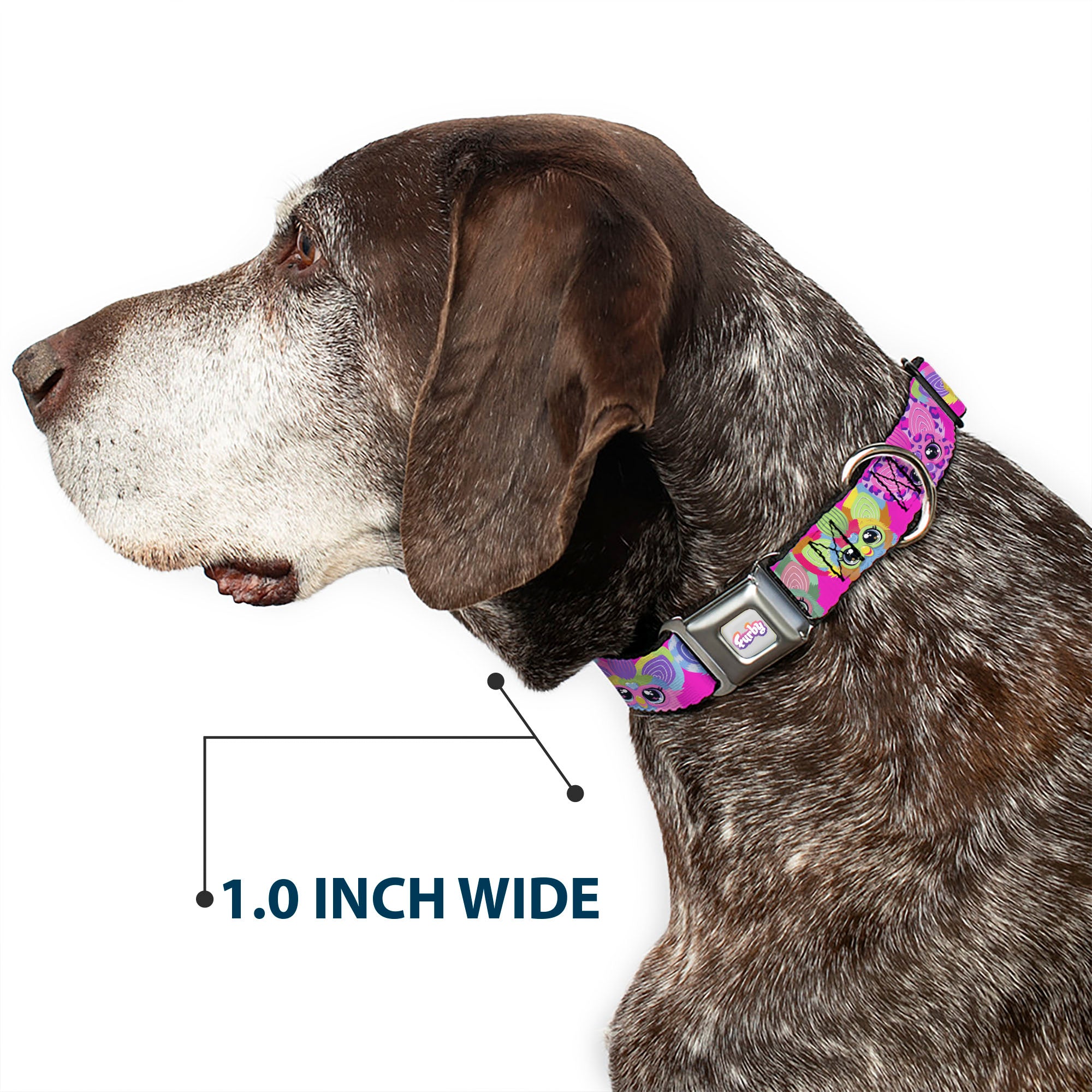 FURBY Logo Full Color Gray/Multi Color Seatbelt Buckle Collar - Furby Five Furblets Faces Pink Seatbelt Buckle Collars Furby